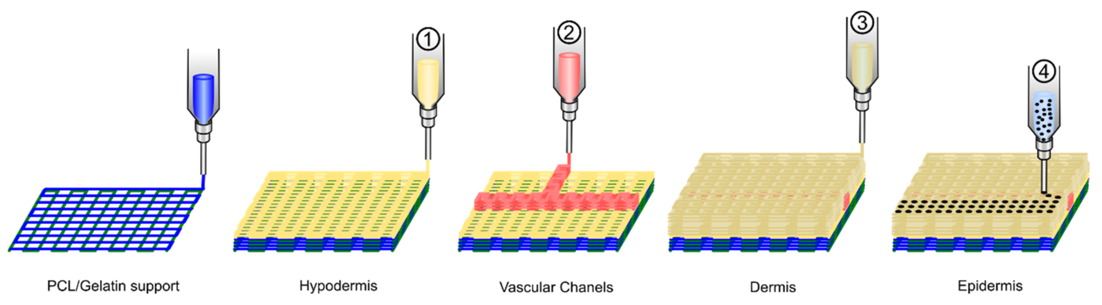 Polymers 13 01209 g008