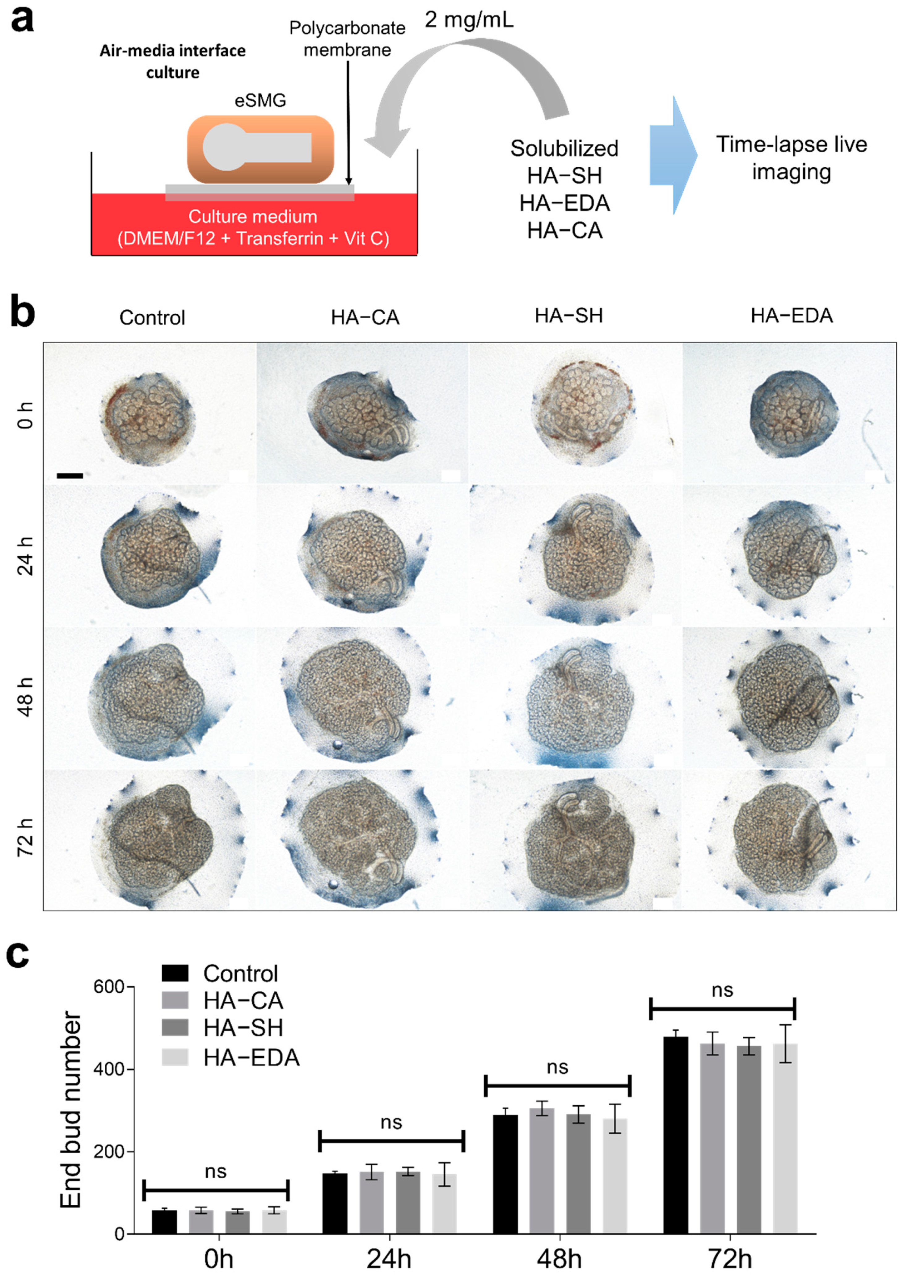 Polymers 13 01216 g002 Polymers 13 01216 g002
