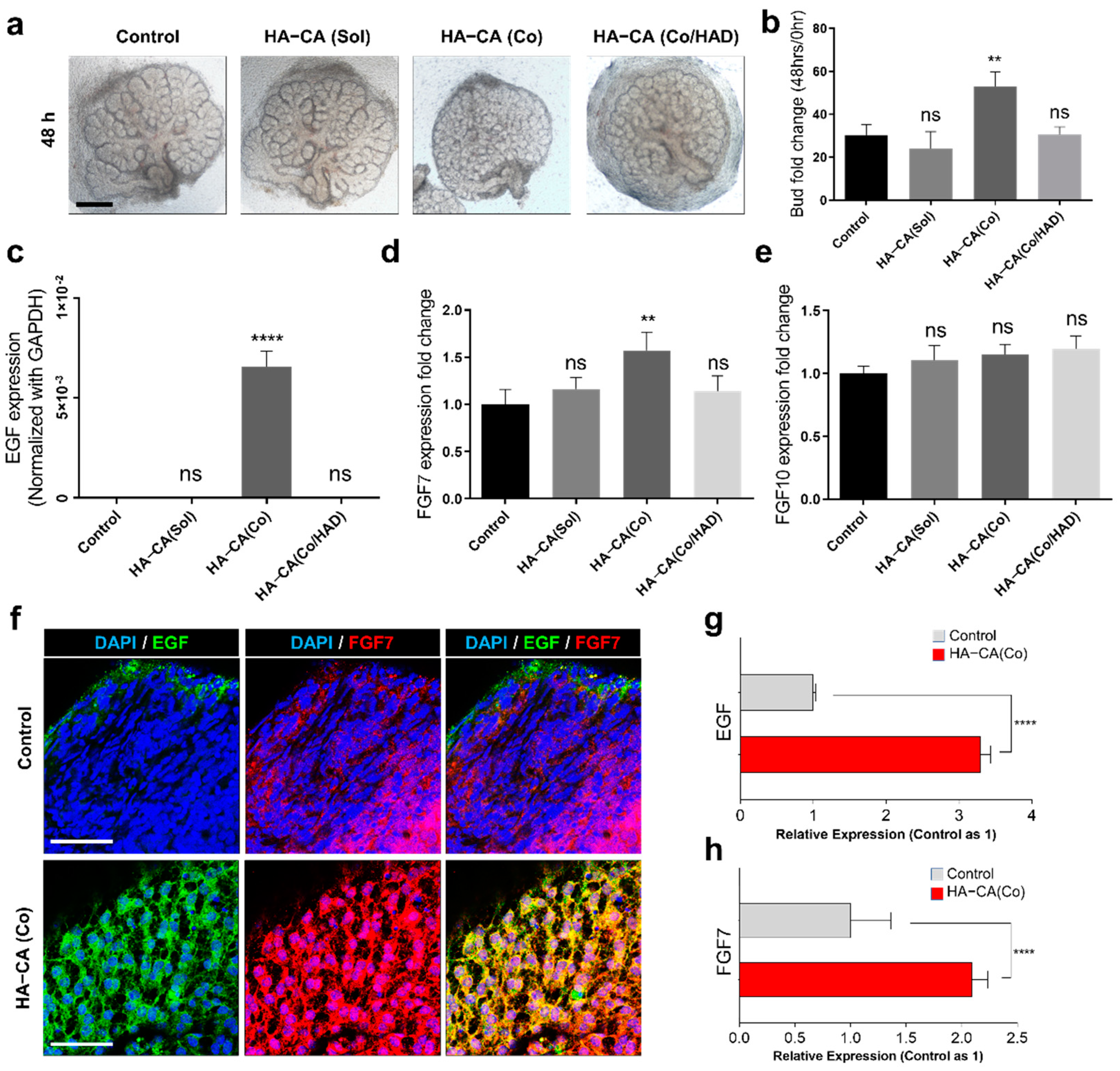 Polymers 13 01216 g004 Polymers 13 01216 g004