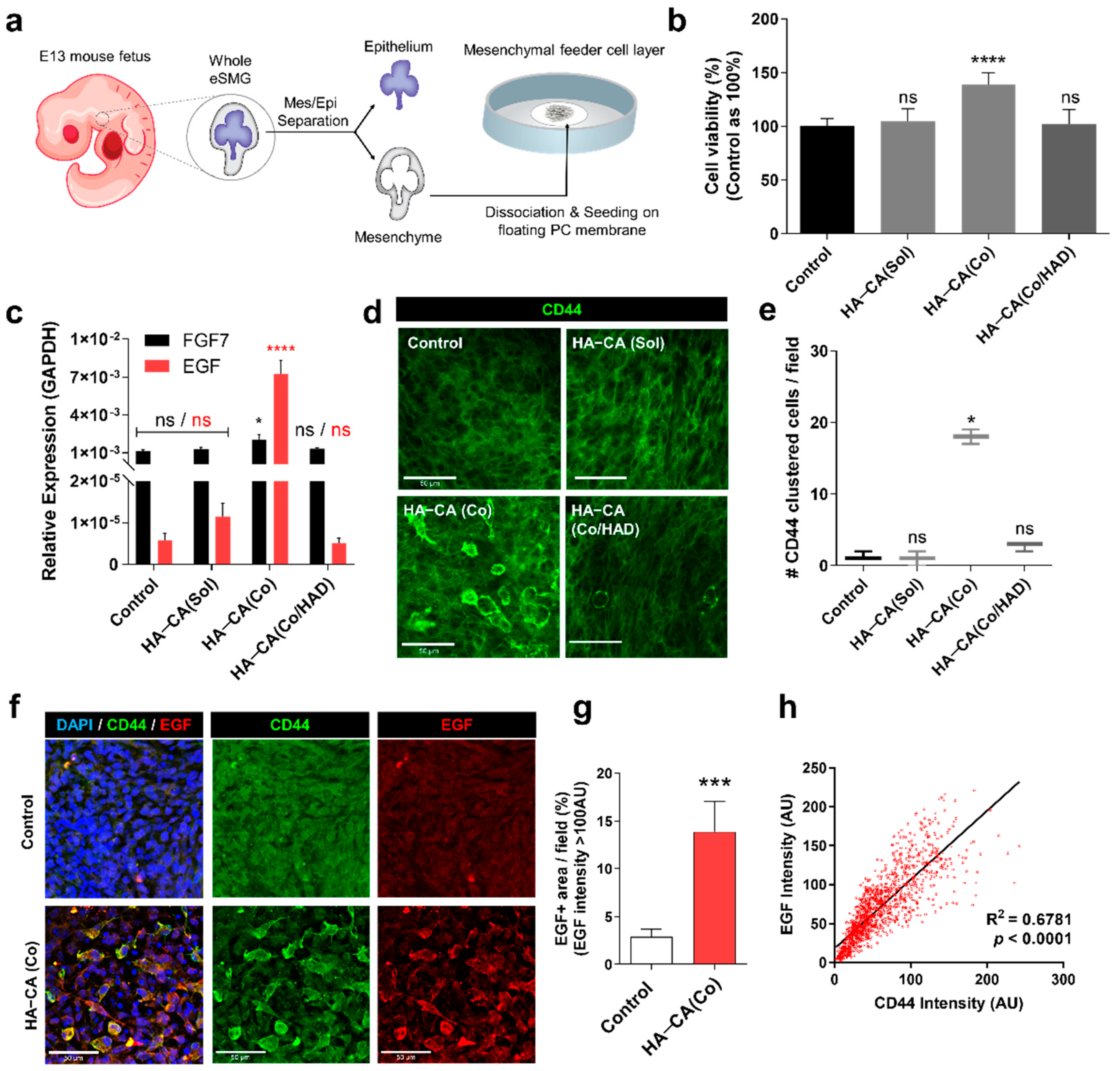 Polymers 13 01216 g005 Polymers 13 01216 g005