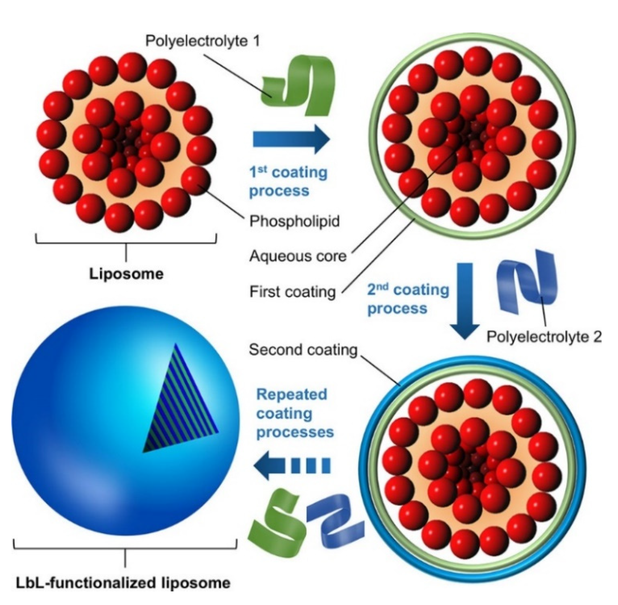 Polymers 13 01221 g007 Polymers 13 01221 g007
