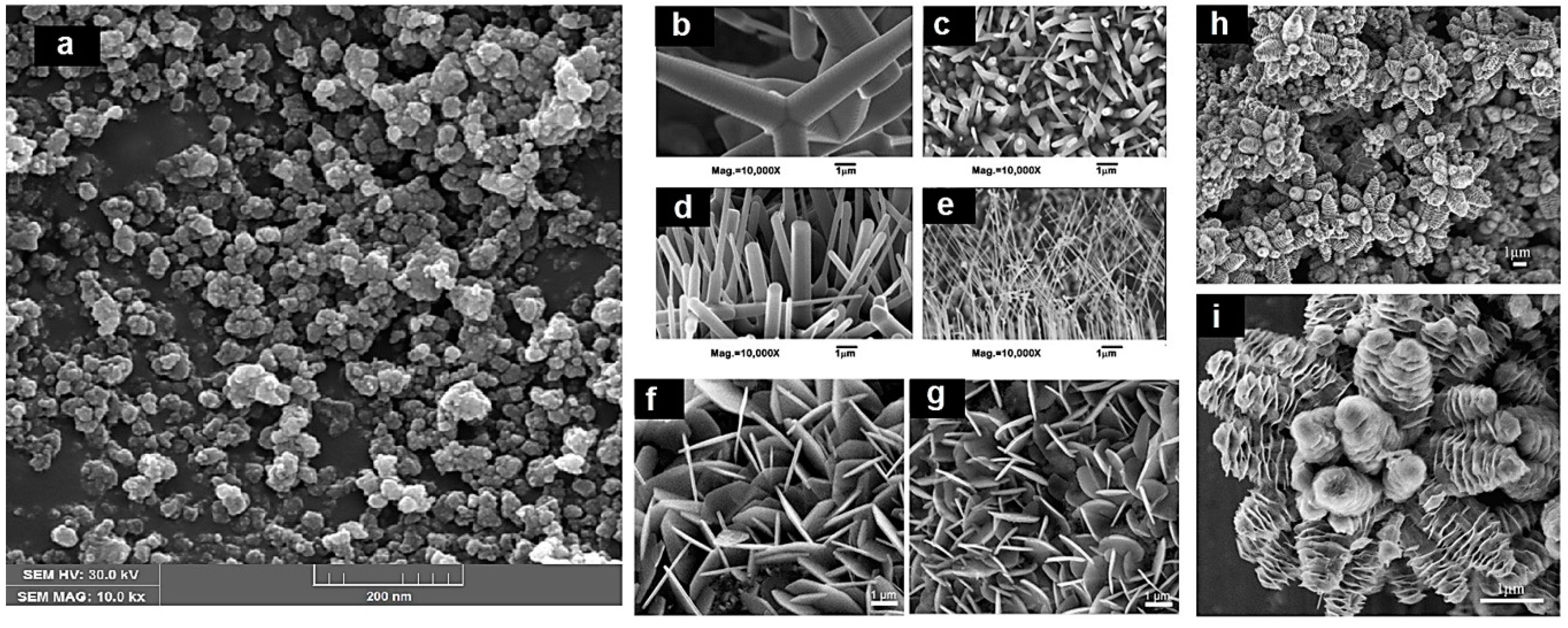 Polymers 13 01227 g004 Polymers 13 01227 g004