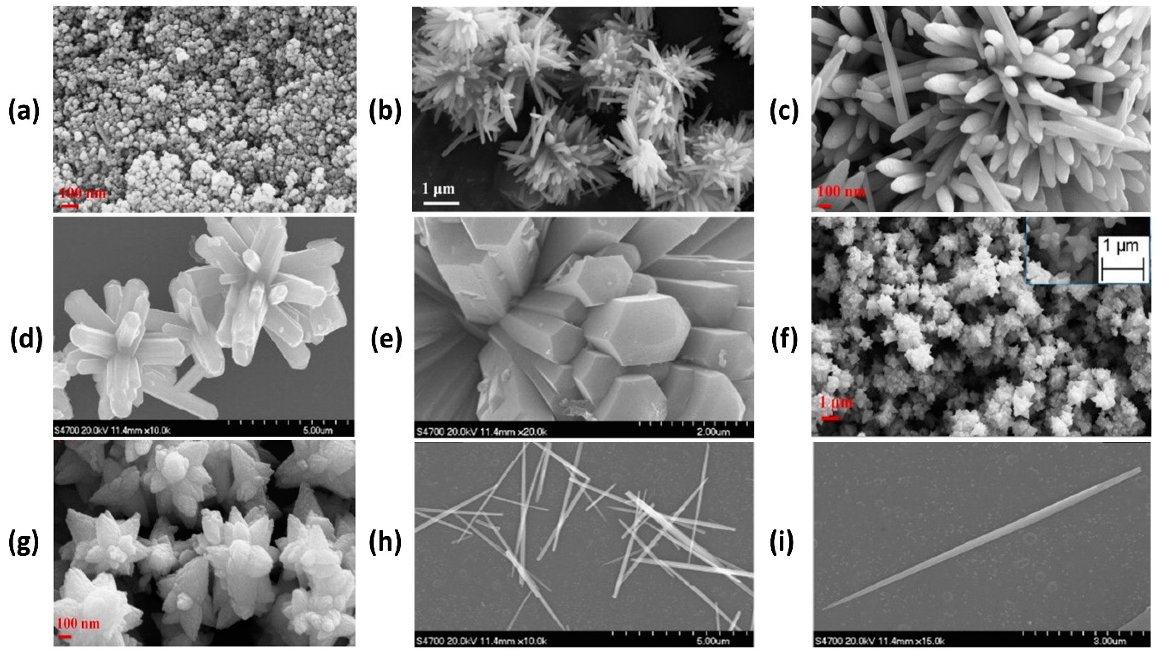 Polymers 13 01227 g011 Polymers 13 01227 g011