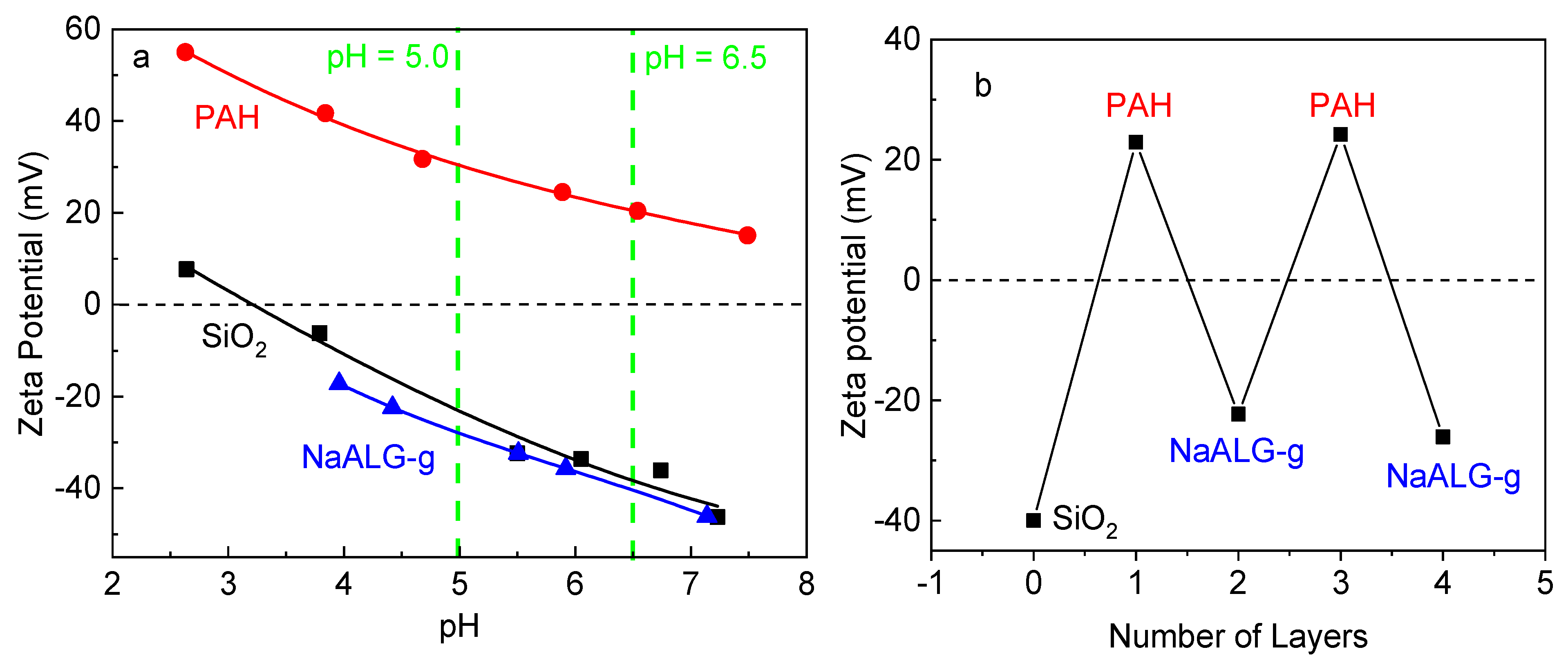 Polymers 13 01228 g002 Polymers 13 01228 g002