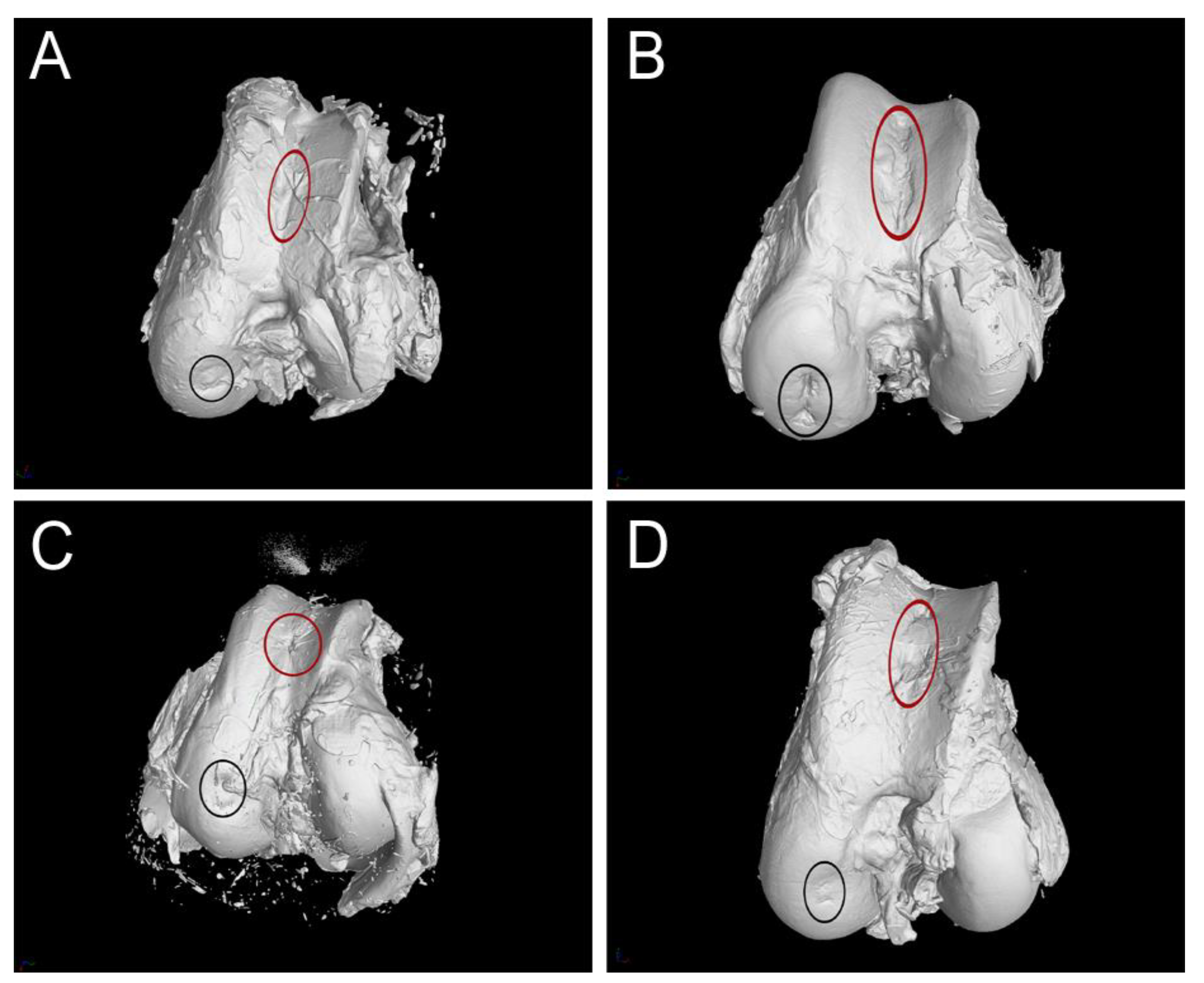 Polymers 13 01232 g008 Polymers 13 01232 g008