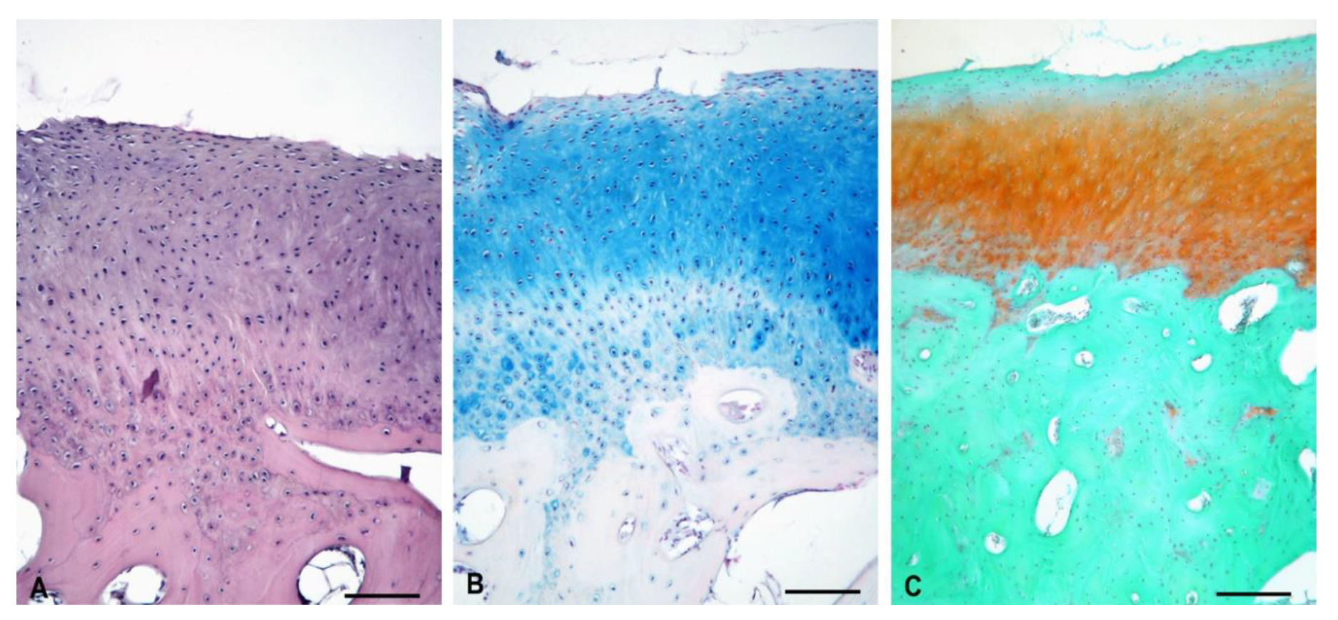 Polymers 13 01232 g015 Polymers 13 01232 g015