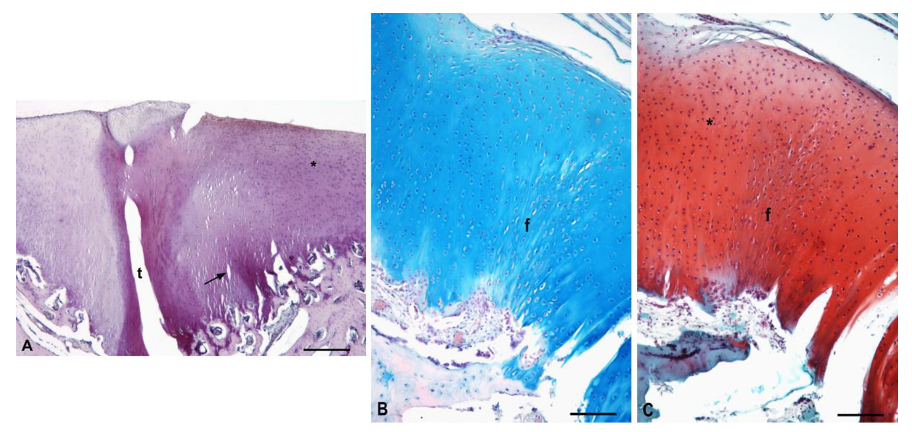 Polymers 13 01232 g017 Polymers 13 01232 g017