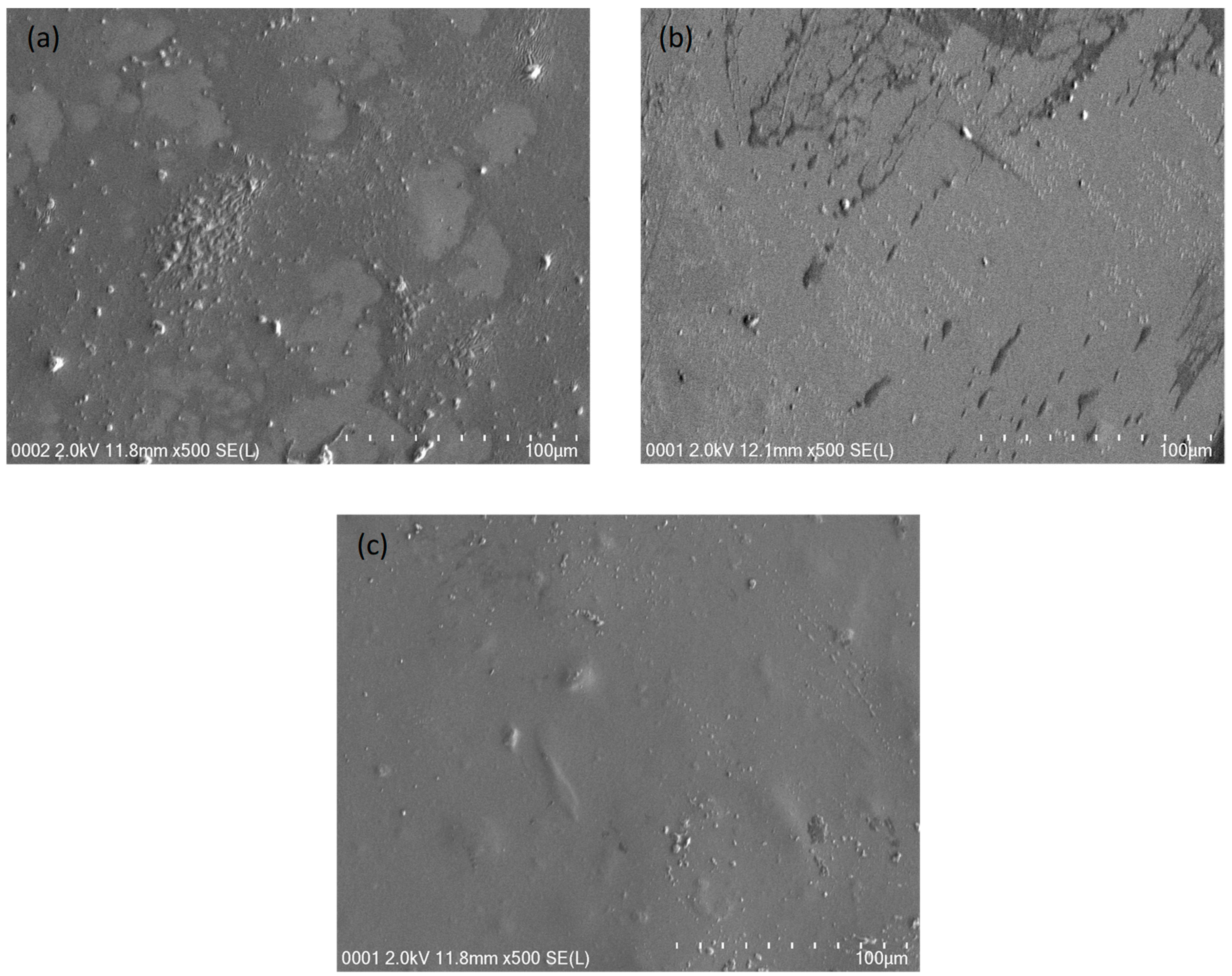Polymers 13 01233 g004 Polymers 13 01233 g004