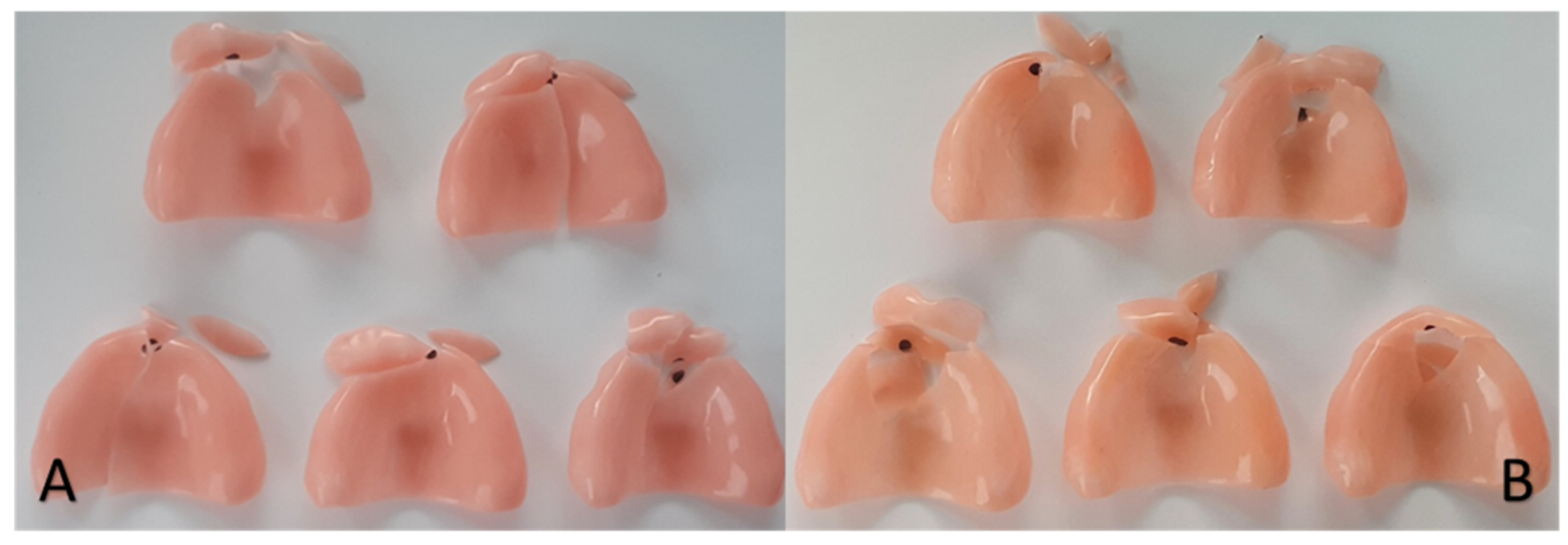 Polymers 13 01234 g008 Polymers 13 01234 g008