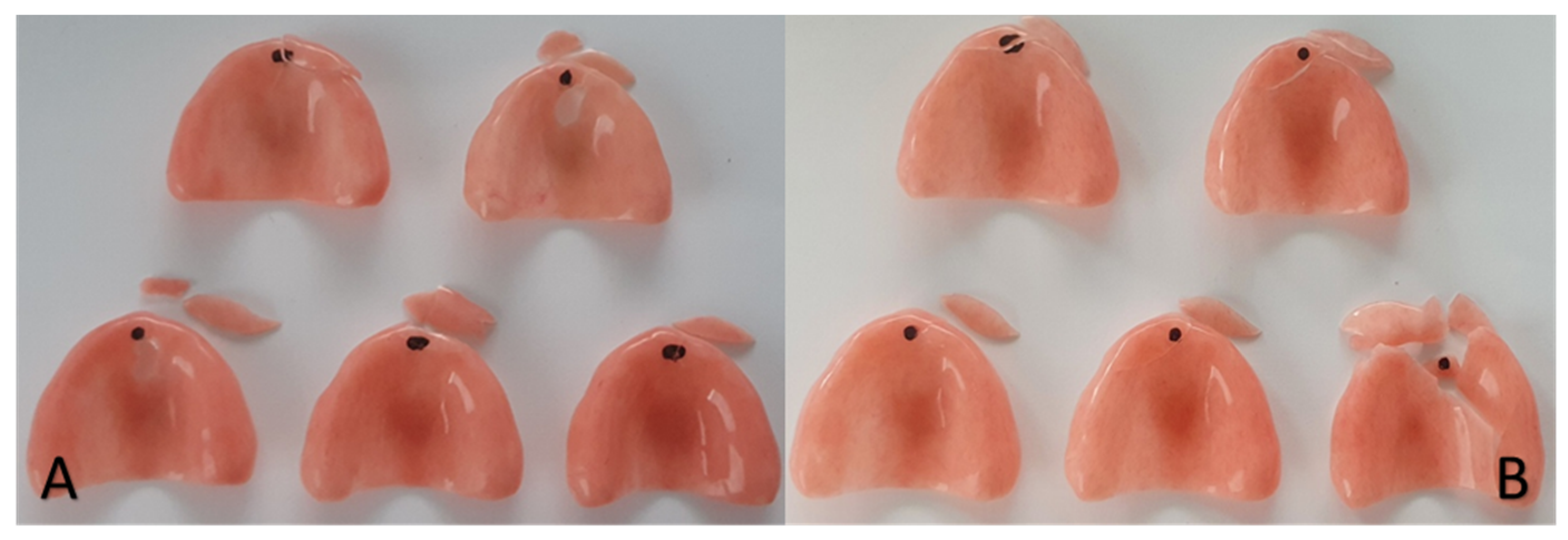 Polymers 13 01234 g009 Polymers 13 01234 g009