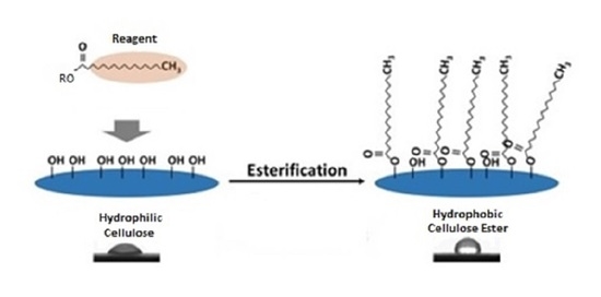 Polymers Special Issue Hydrophilic And Hydrophobic Natural Polymer Materials