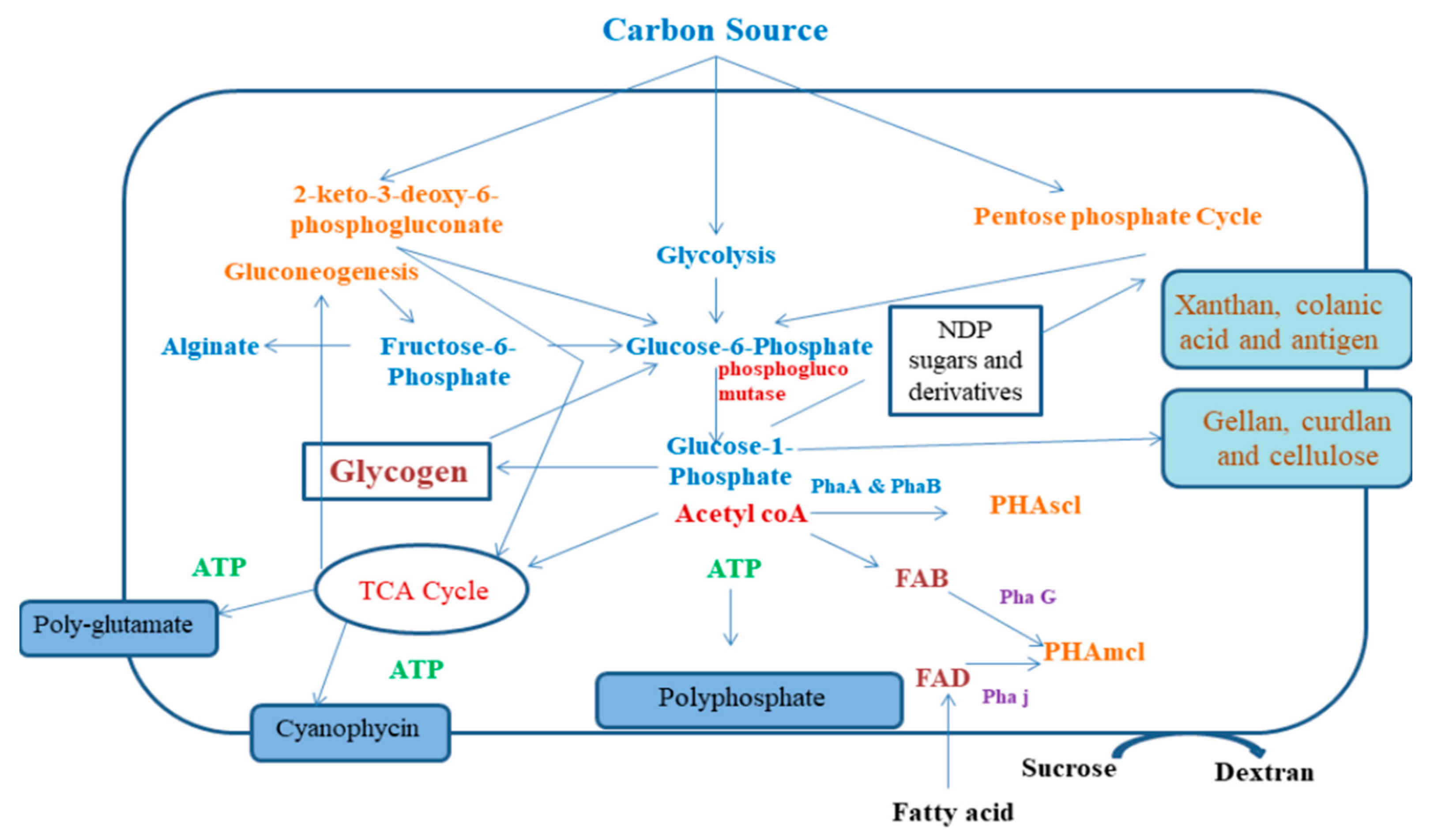 Polymers 13 01242 g001 Polymers 13 01242 g001