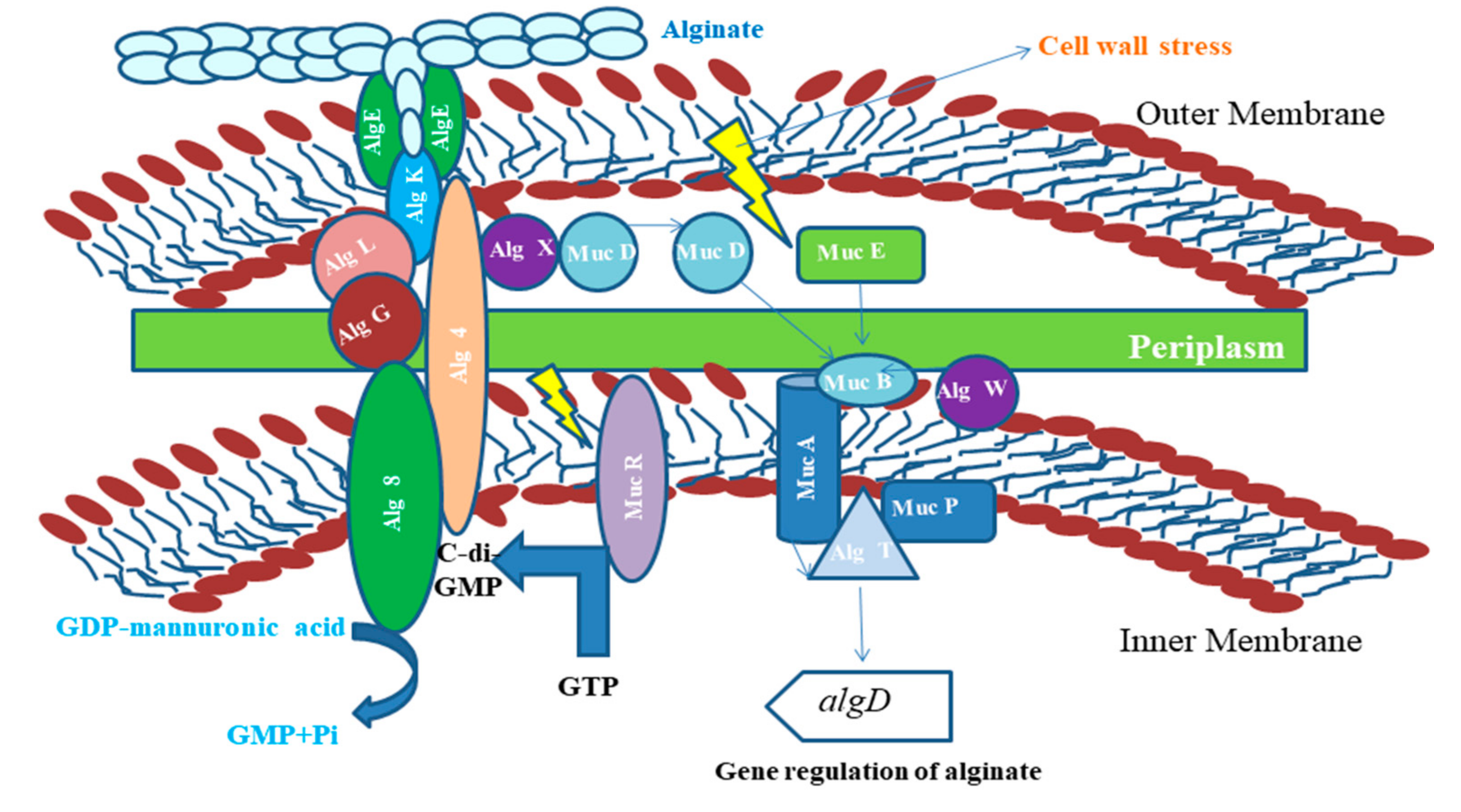 Polymers 13 01242 g002 Polymers 13 01242 g002
