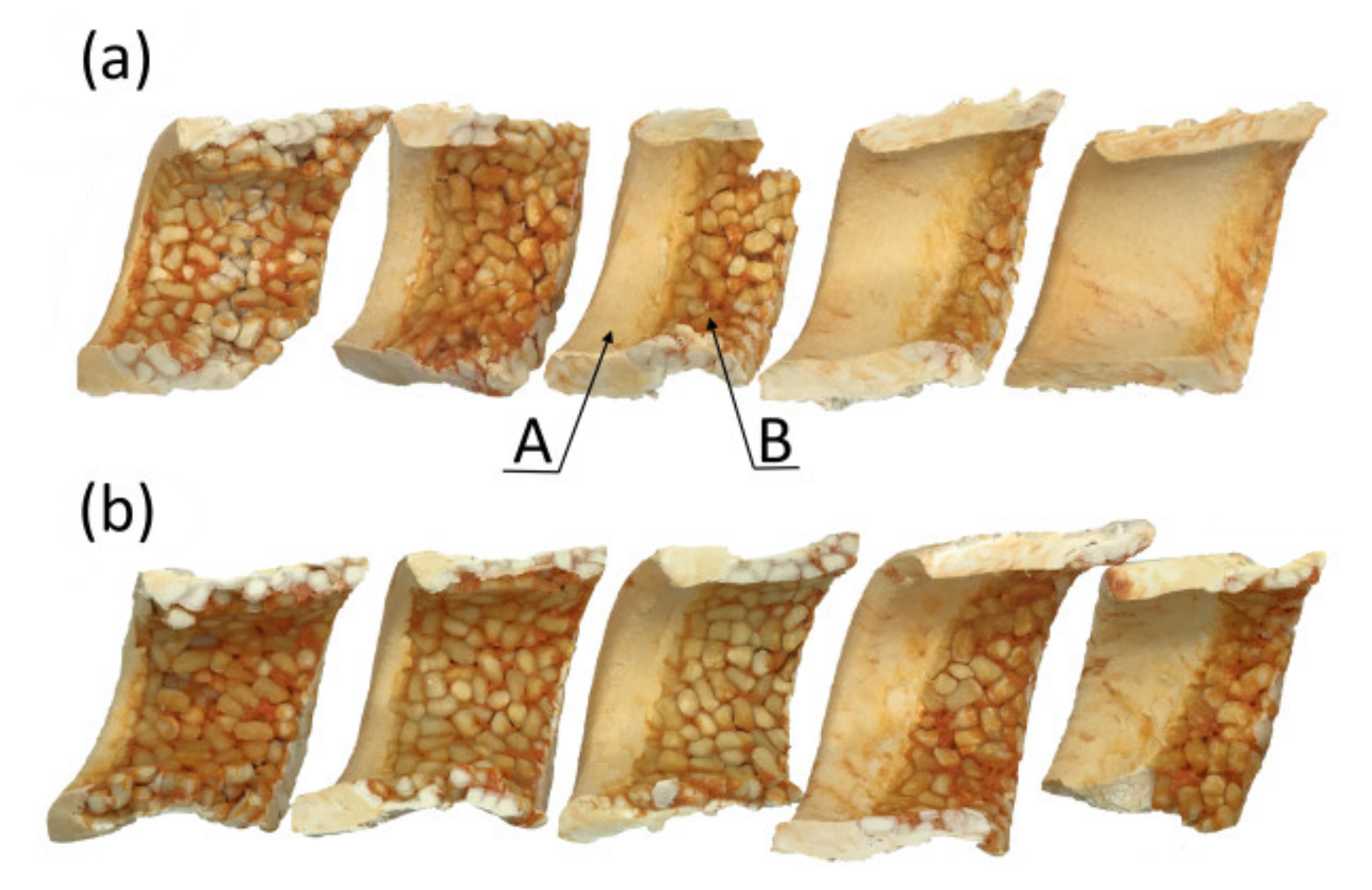 Polymers 13 01252 g007