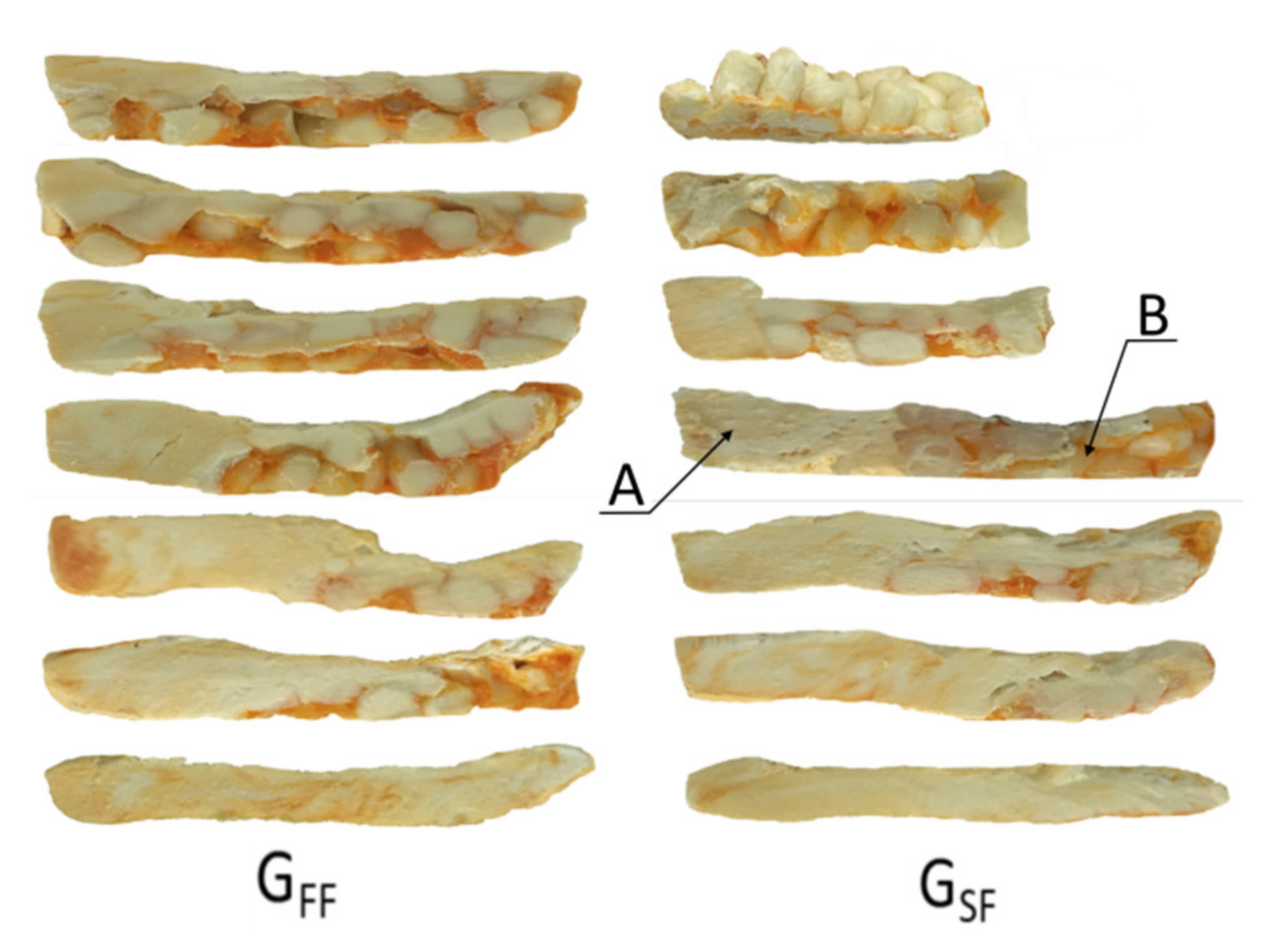 Polymers 13 01252 g008
