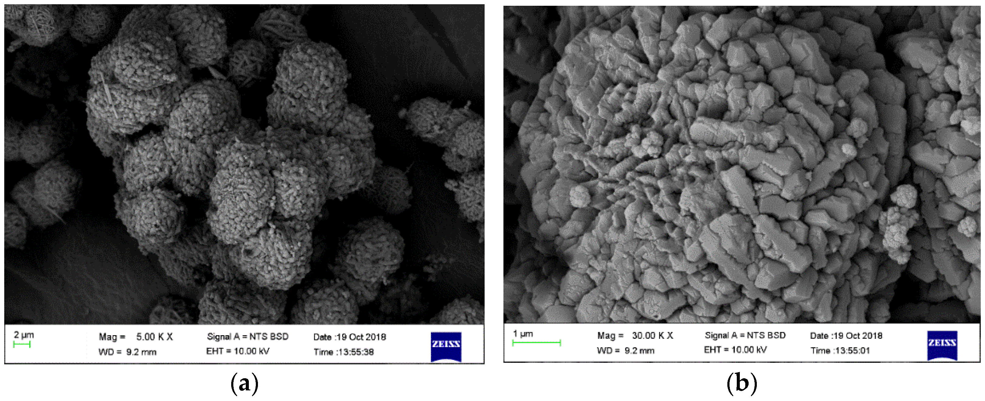 Polymers 13 01253 g002