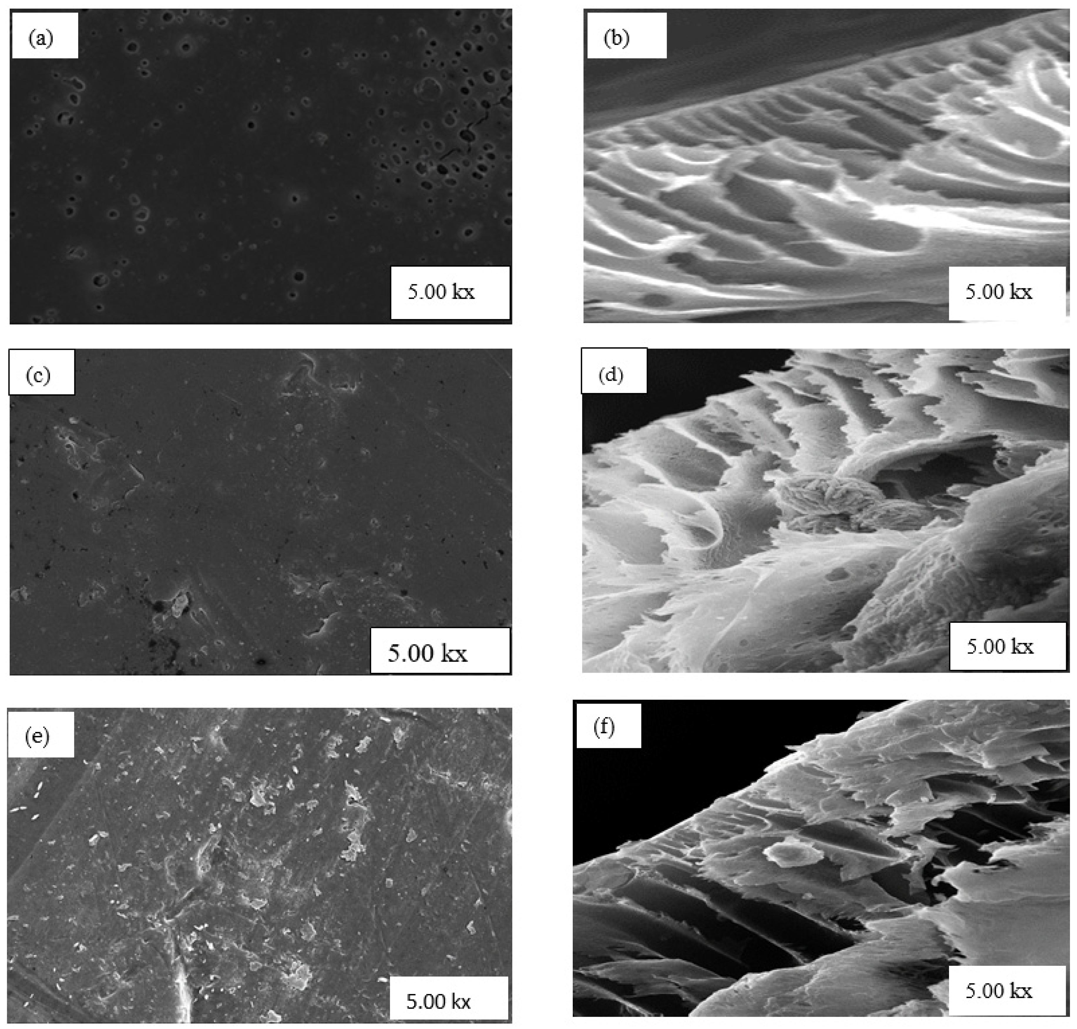 Polymers 13 01253 g004