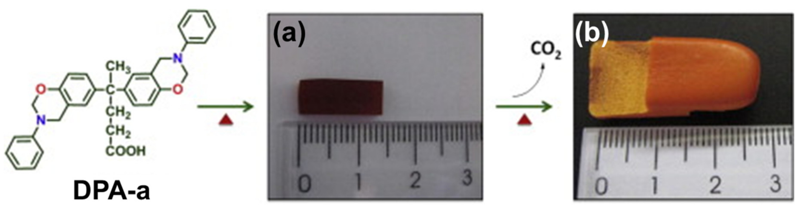 Polymers 13 01260 g046