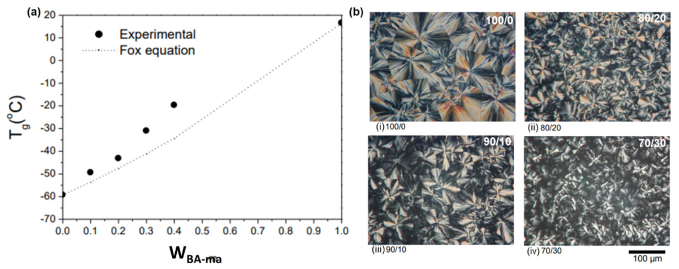 Polymers 13 01260 g057