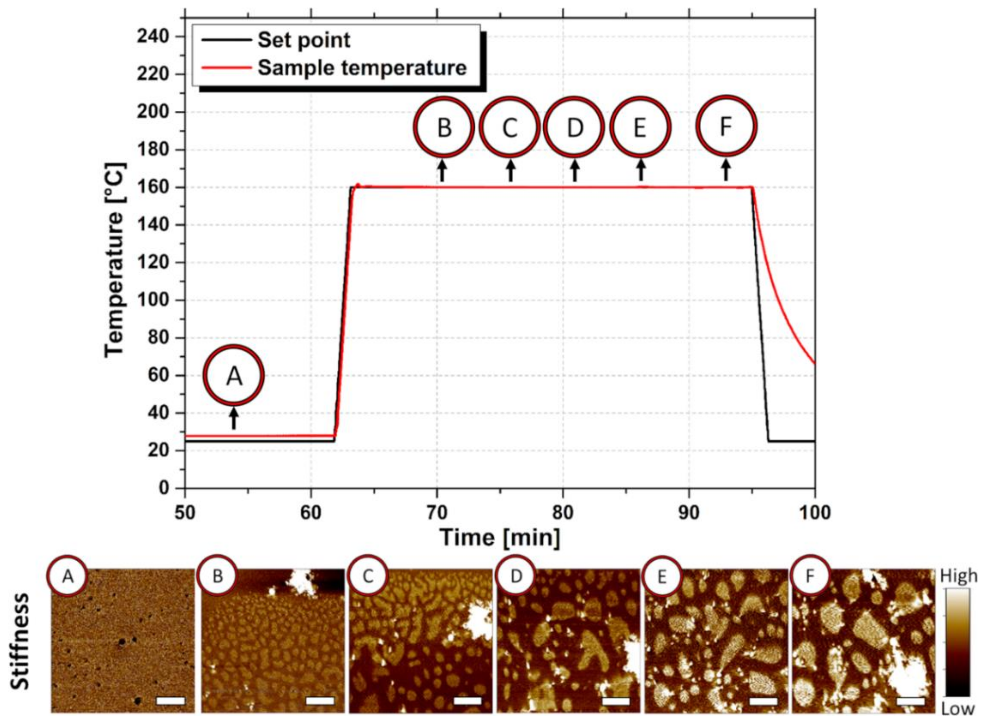 Polymers 13 01267 g003 Polymers 13 01267 g003