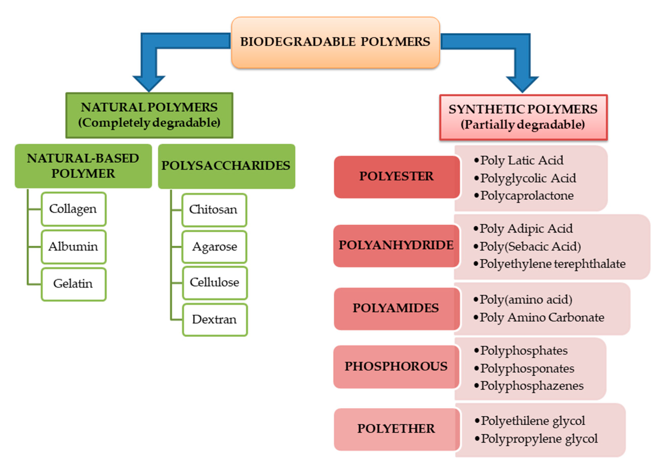 Polymers 13 01272 g004