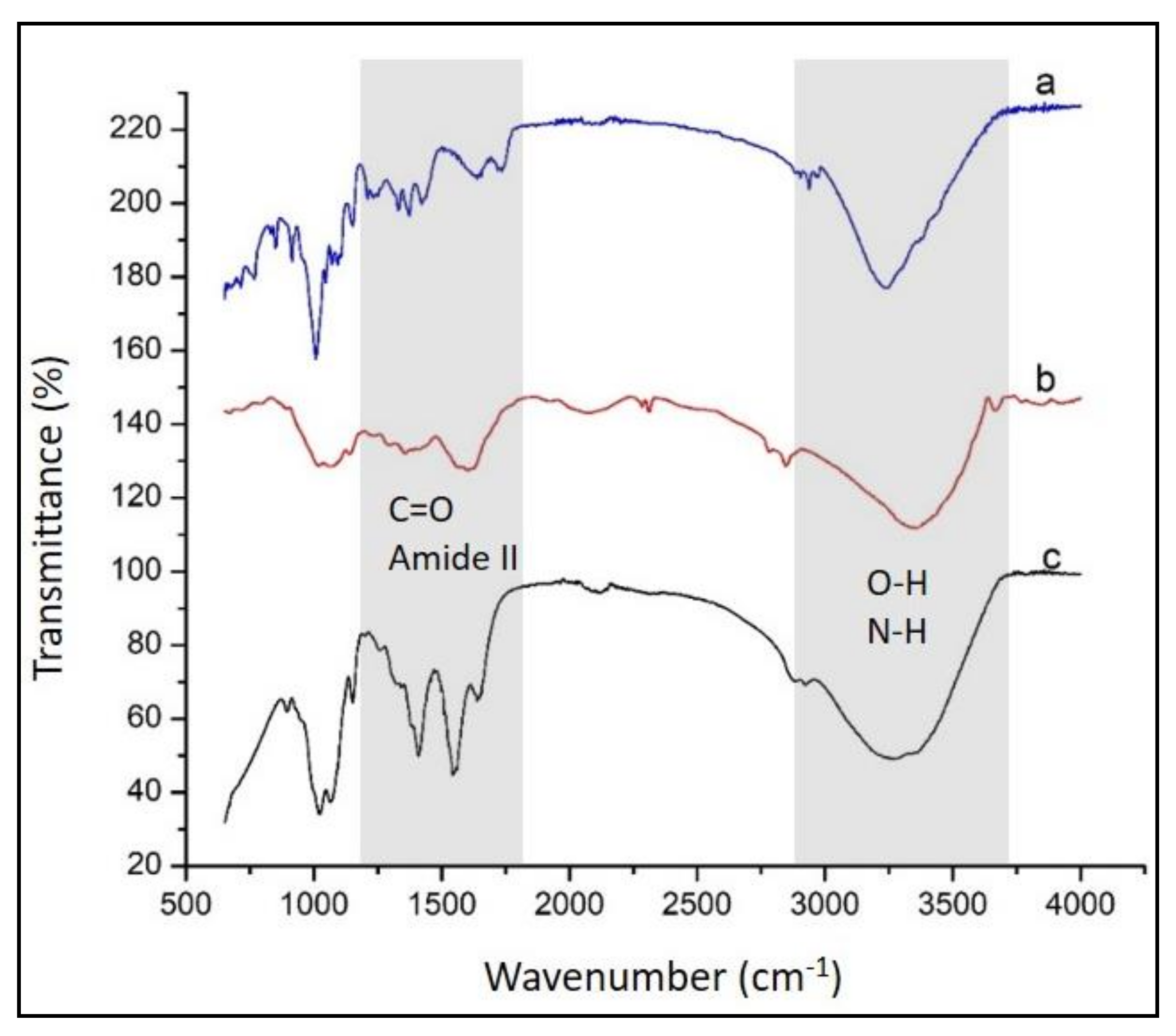 Polymers 13 01276 g002 Polymers 13 01276 g002