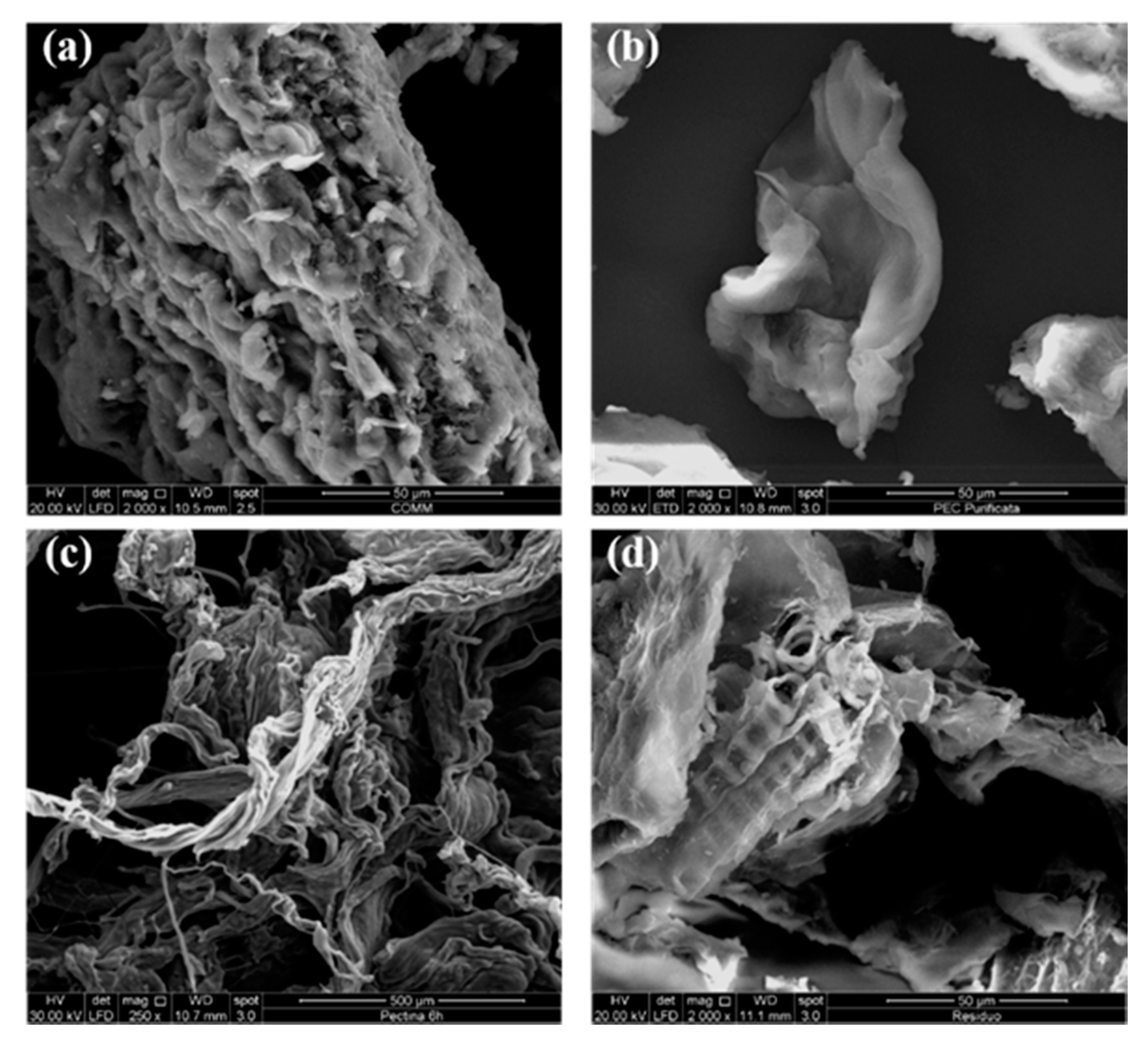 Polymers 13 01280 g006 Polymers 13 01280 g006