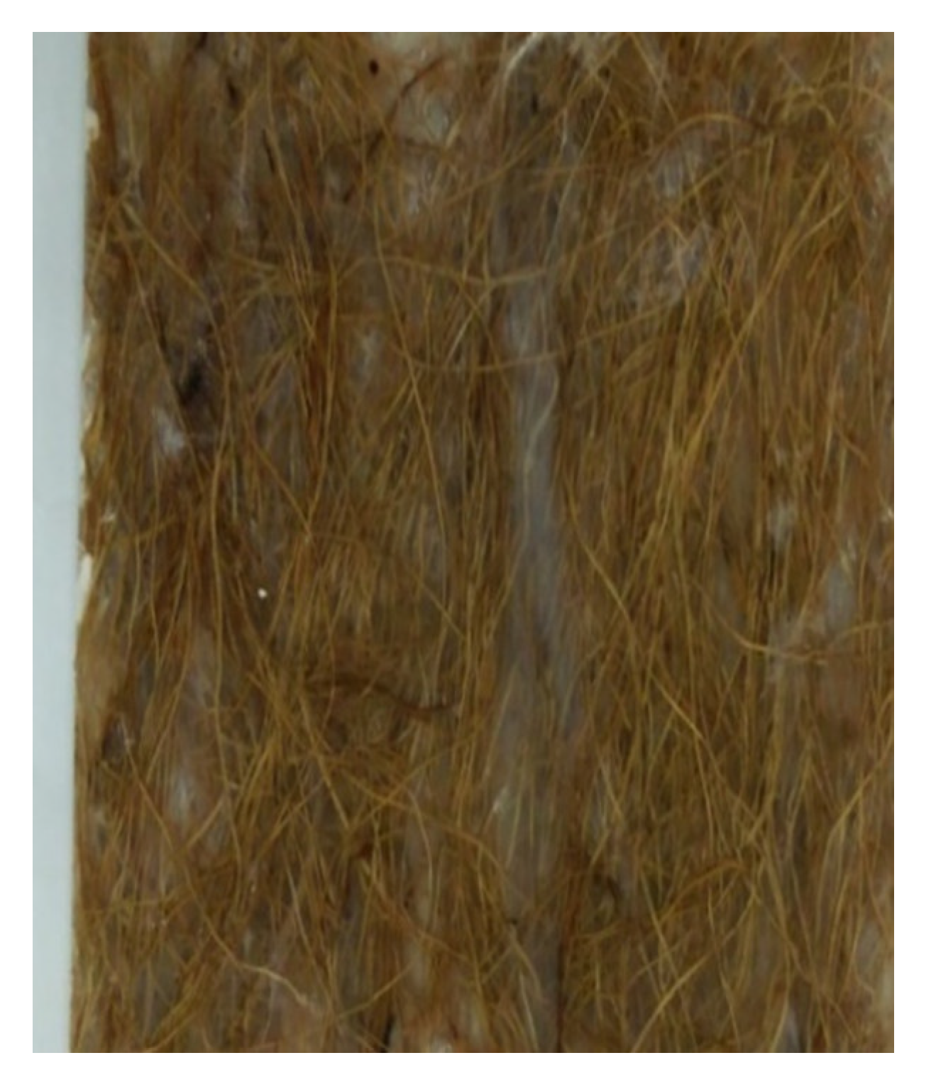 Polymers 13 01282 g004 Polymers 13 01282 g004