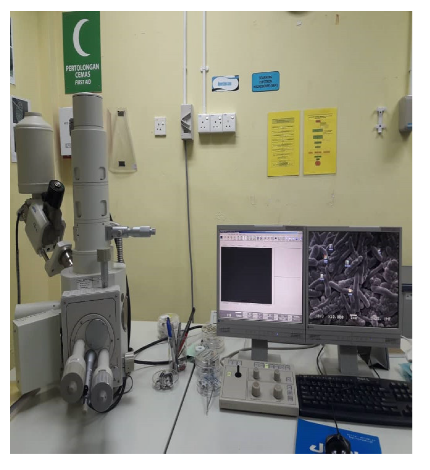 Polymers 13 01282 g008 Polymers 13 01282 g008