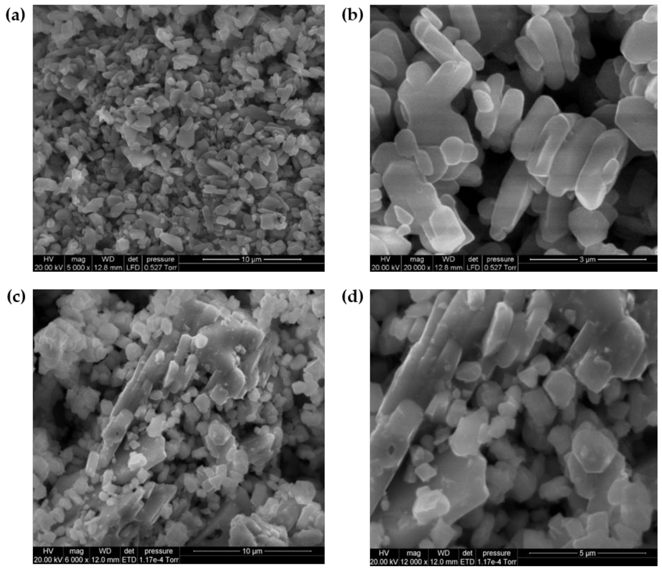 Polymers 13 01284 g001 Polymers 13 01284 g001