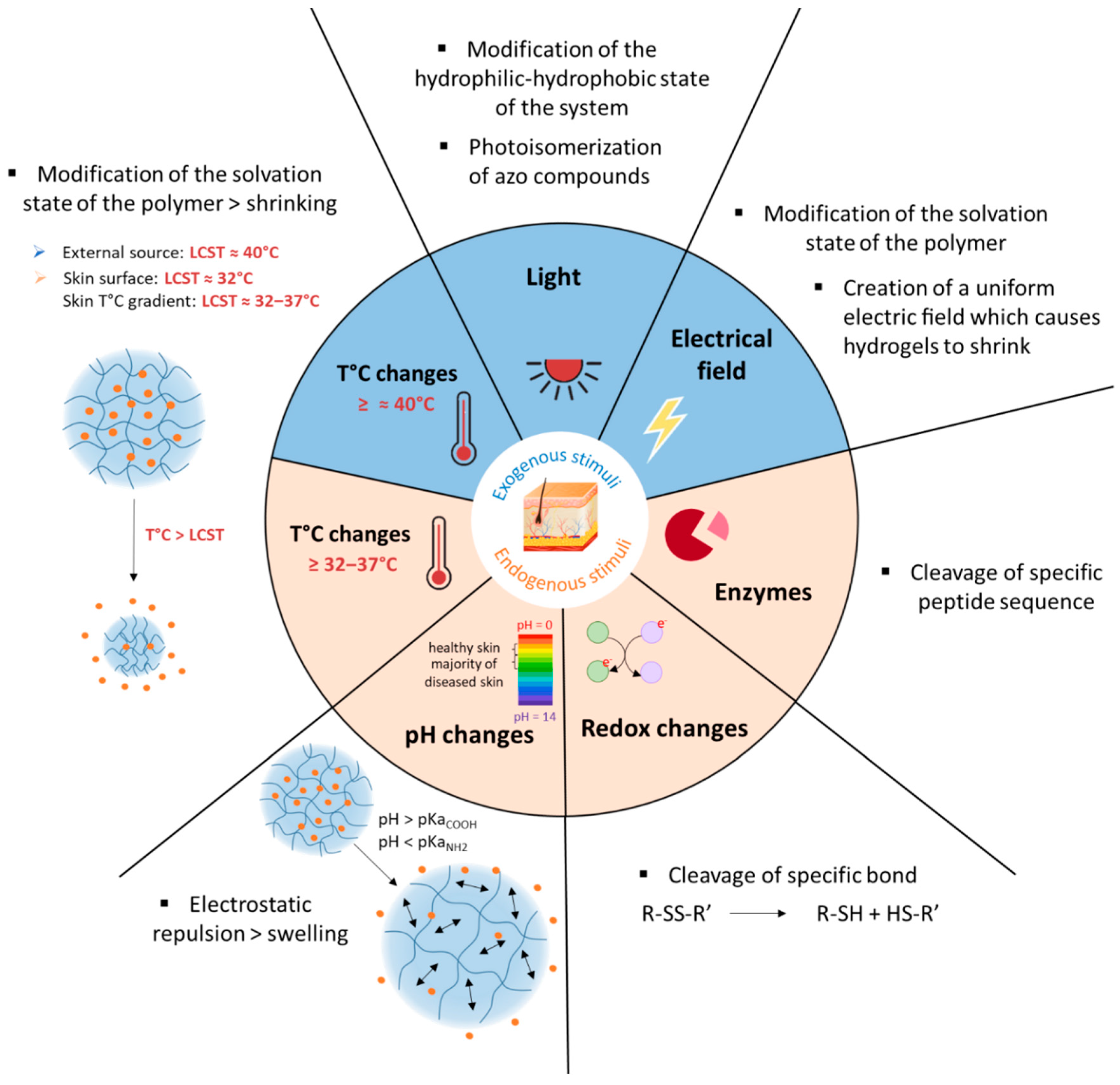 Polymers Free Full Text Polymer Based Smart Drug Delivery Systems For Skin Application And Demonstration Of Stimuli Responsiveness Html