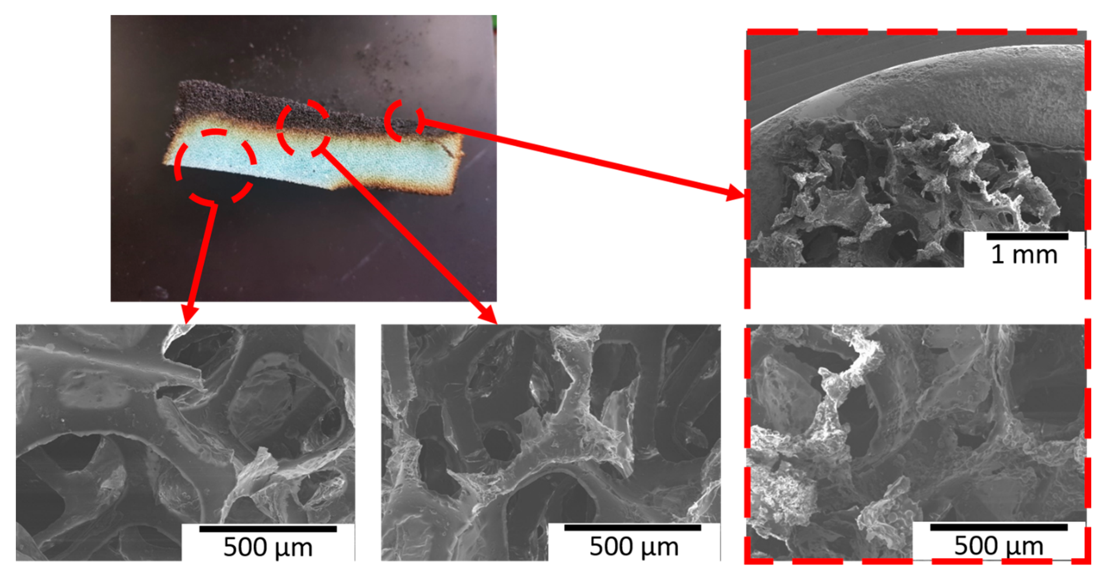 Polymers 13 01286 g007 Polymers 13 01286 g007