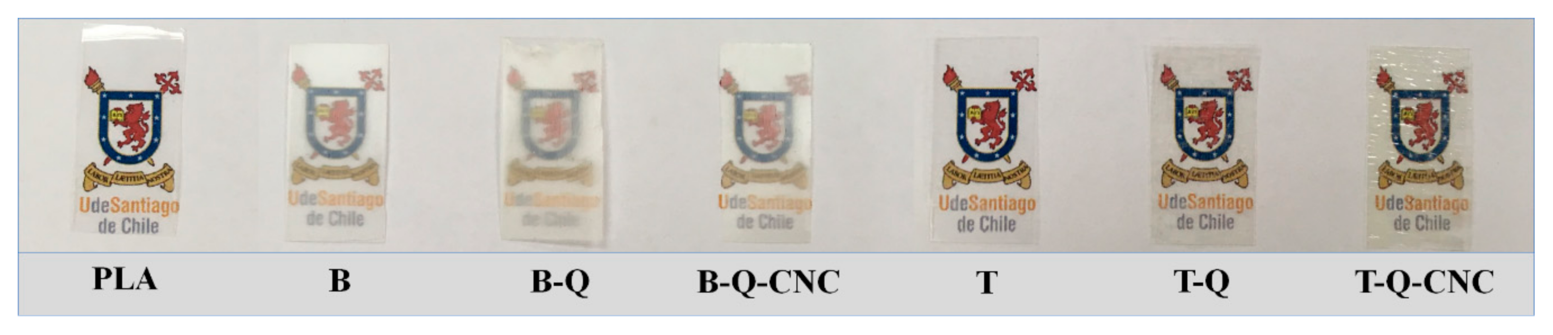 Polymers 13 01288 g001 Polymers 13 01288 g001