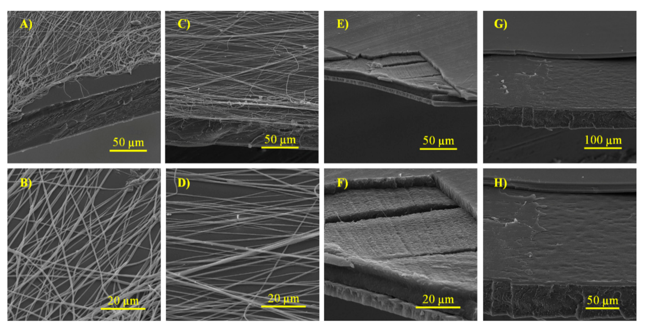 Polymers Free Full Text Designing Biodegradable And Active Multilayer System By Assembling An Electrospun Polycaprolactone Mat Containing Quercetin And Nanocellulose Between Polylactic Acid Films Html