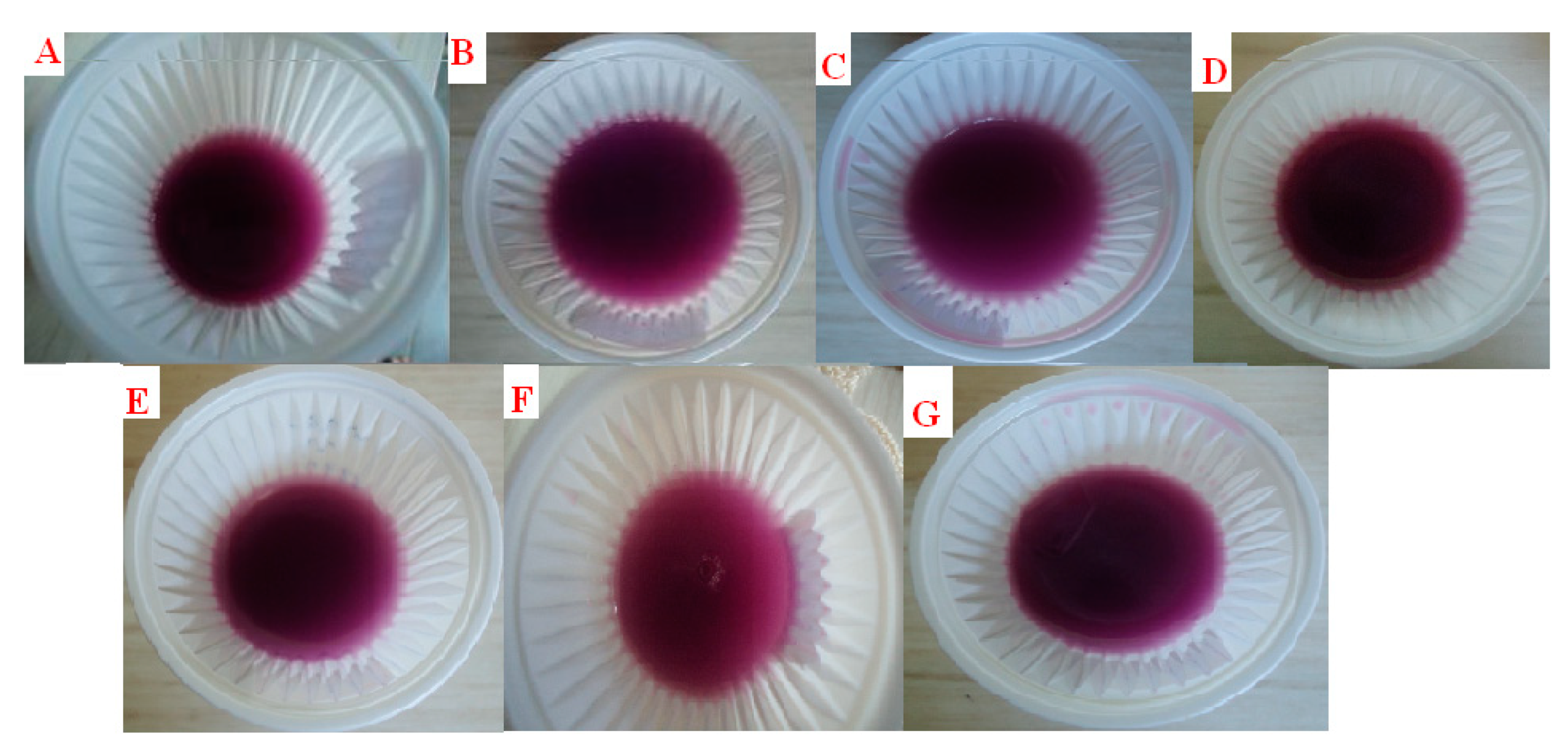 Polymers 13 01289 g001 Polymers 13 01289 g001