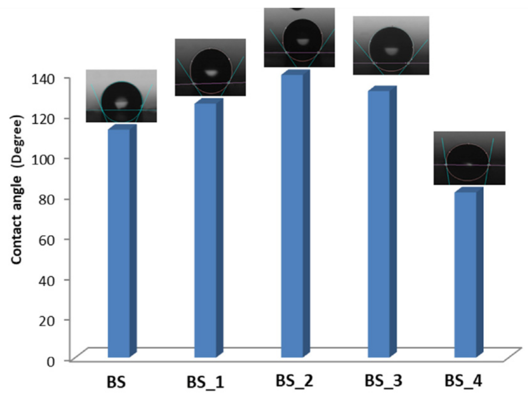Polymers 13 01293 g001 Polymers 13 01293 g001