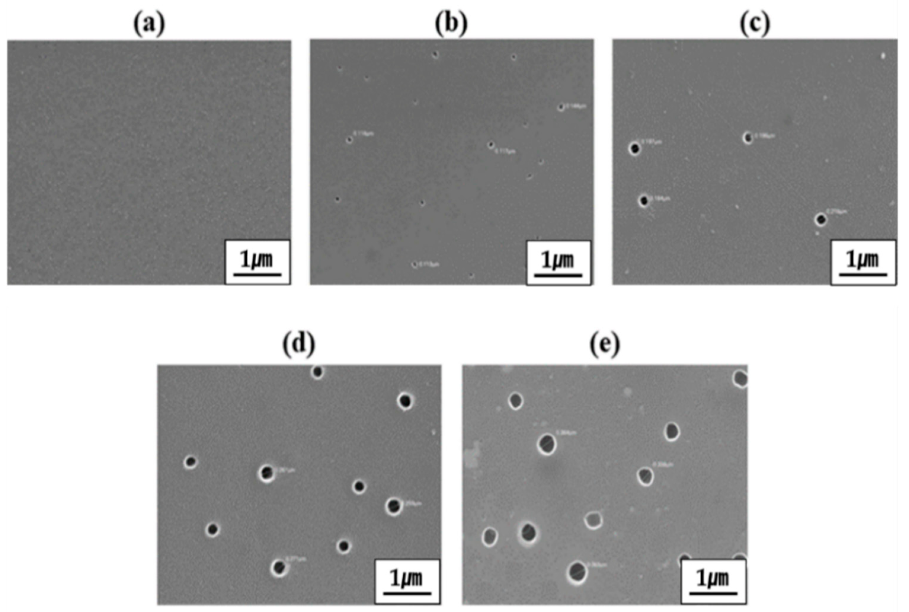 Polymers 13 01298 g007
