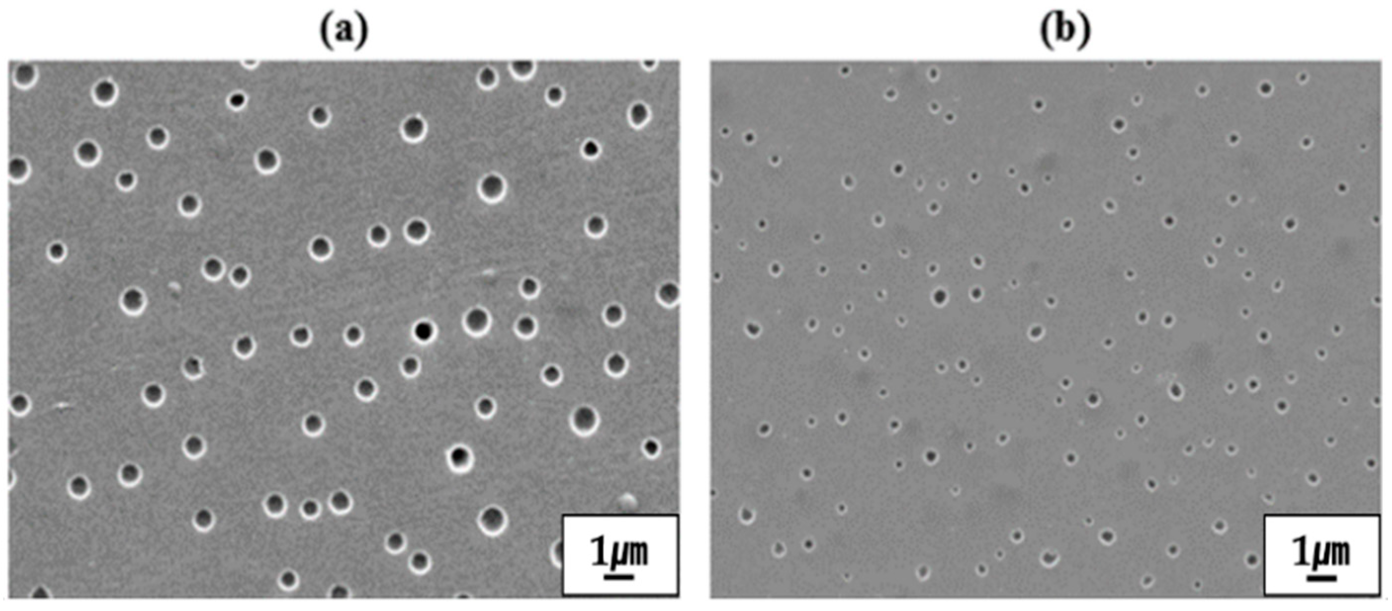 Polymers 13 01298 g008
