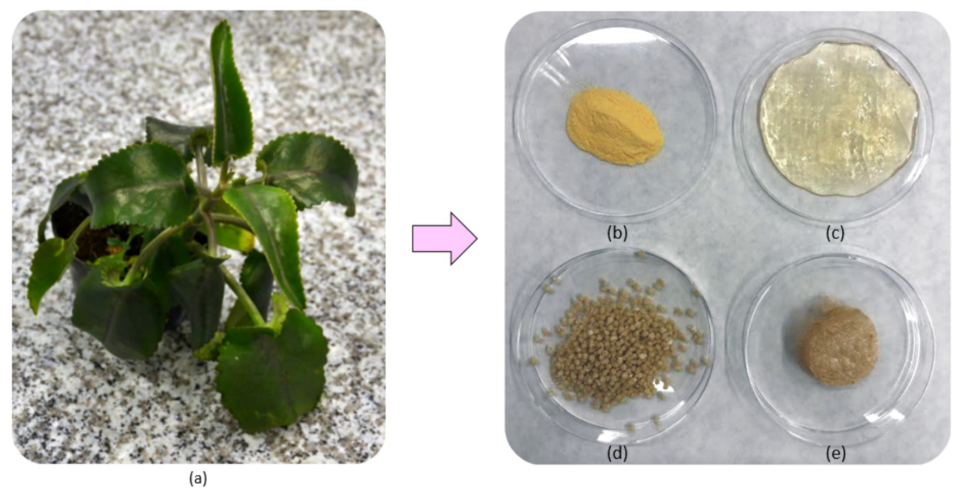 Polymers 13 01300 g001