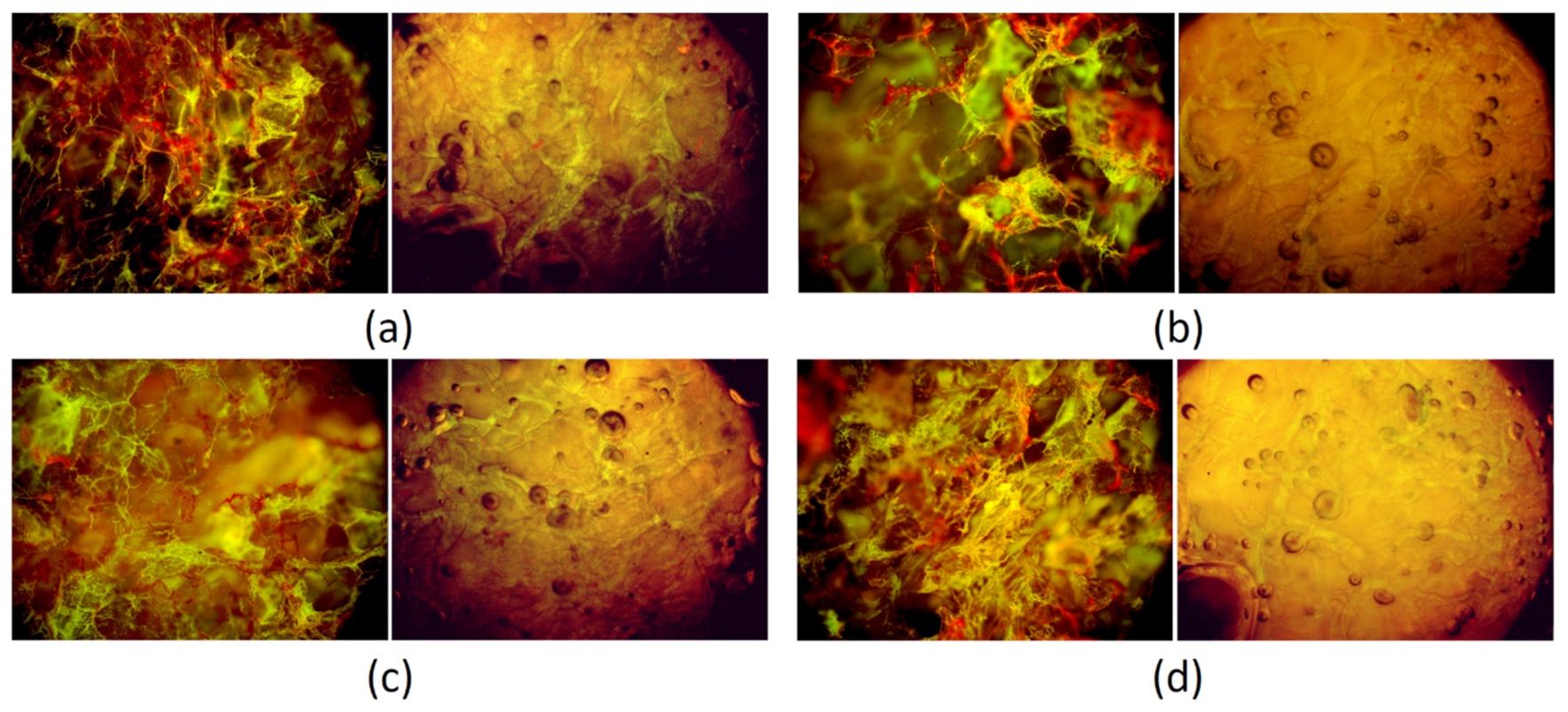 Polymers 13 01300 g013