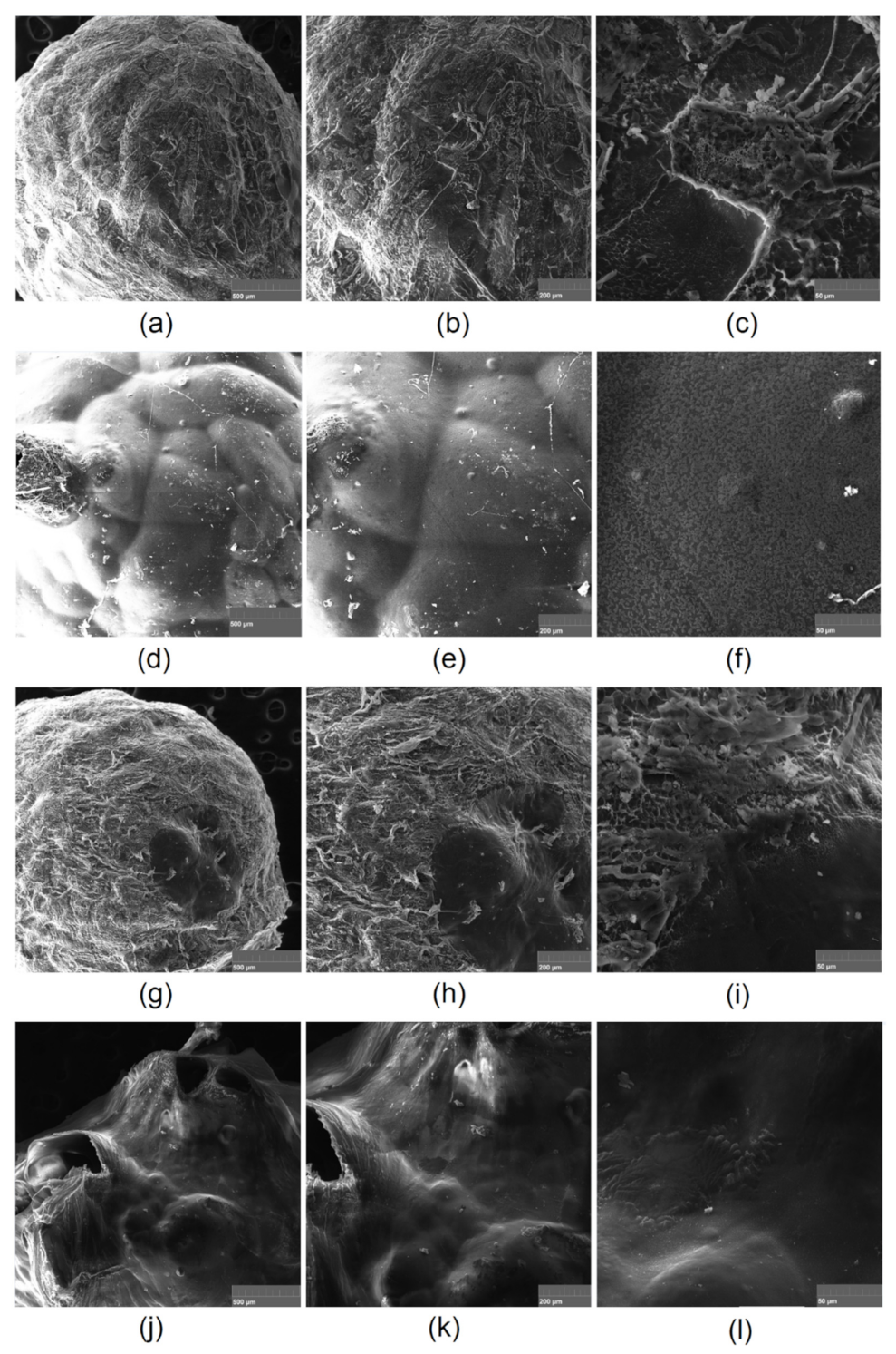 Polymers 13 01300 g014