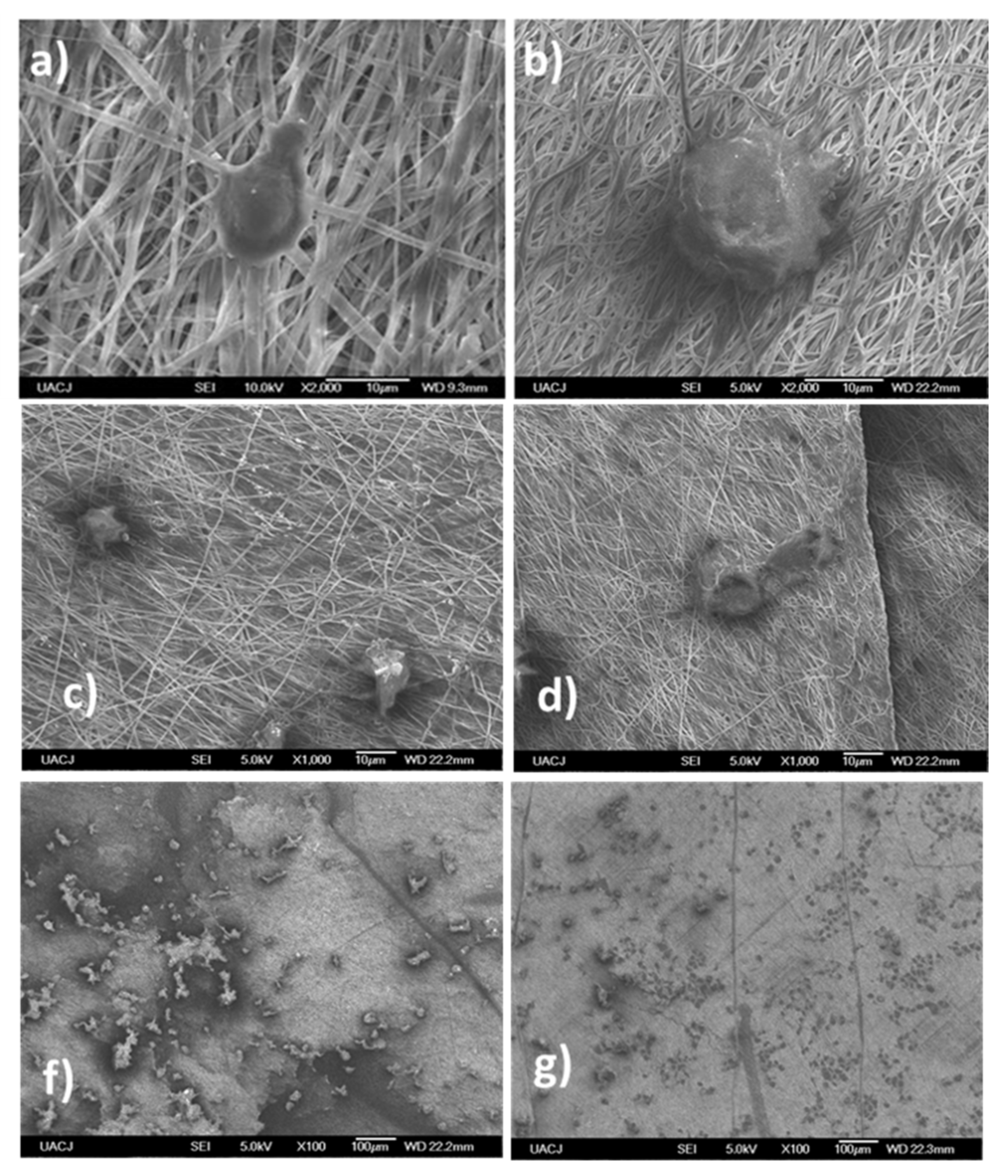 Polymers 13 01303 g008 Polymers 13 01303 g008