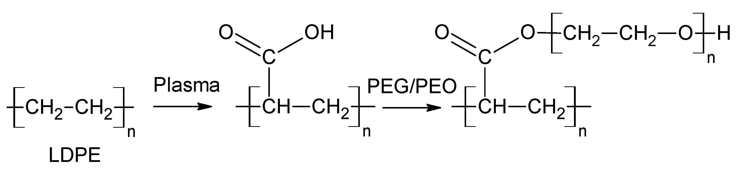 Polymers 13 01309 g002