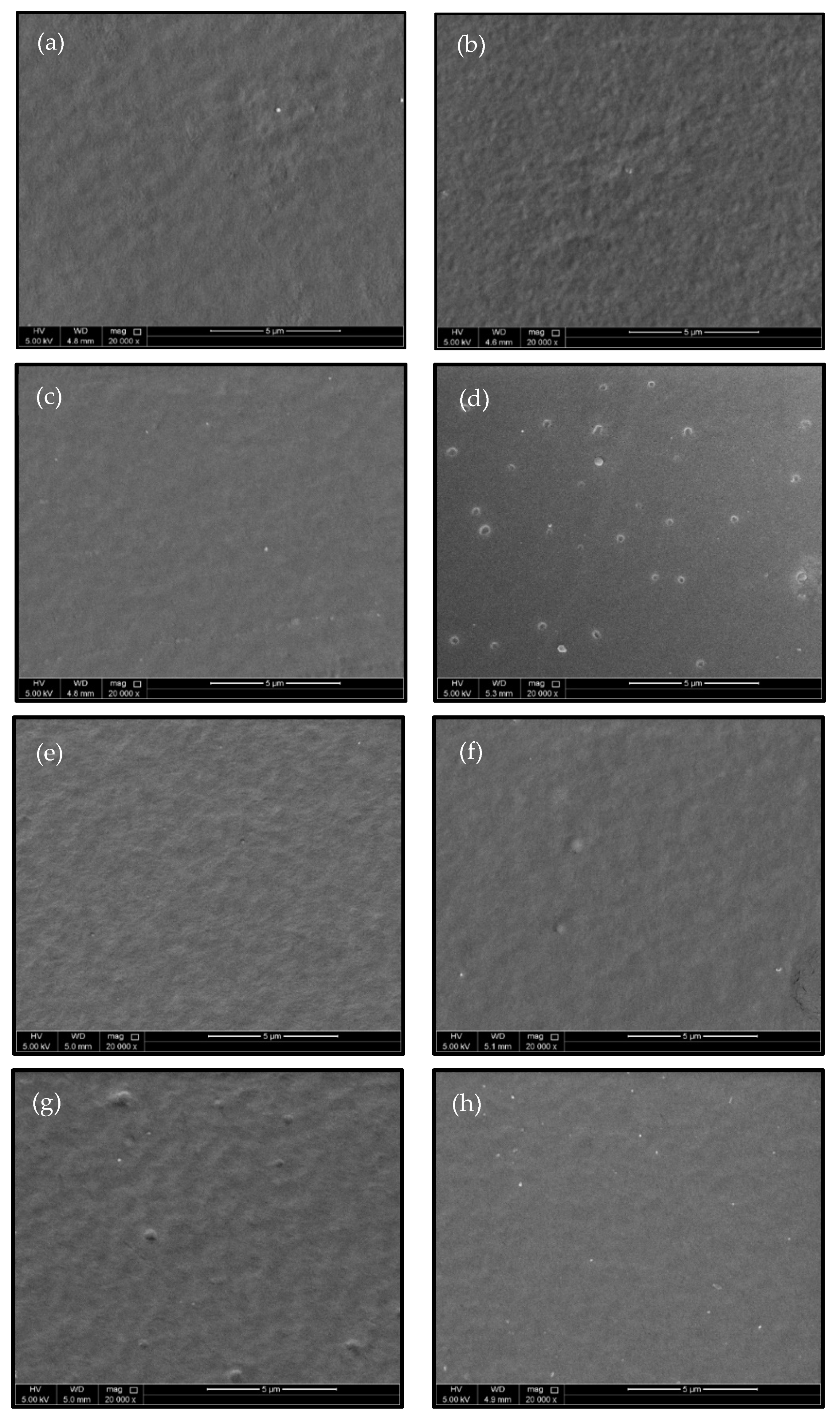 Polymers 13 01309 g007
