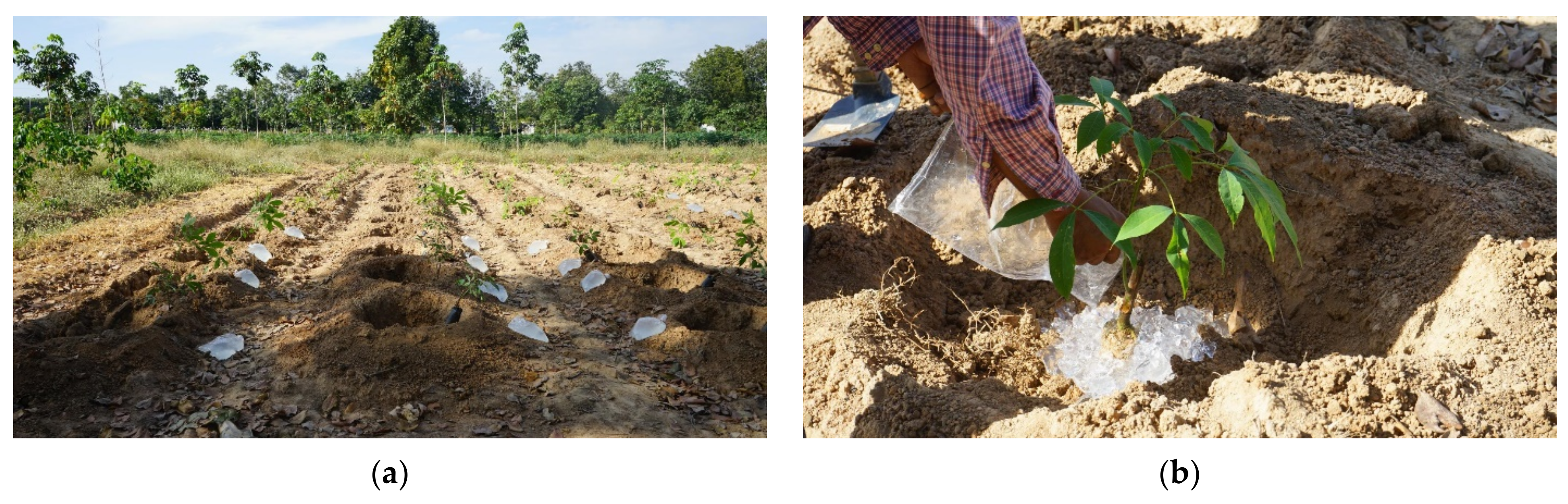 Polymers 13 01314 g001 Polymers 13 01314 g001