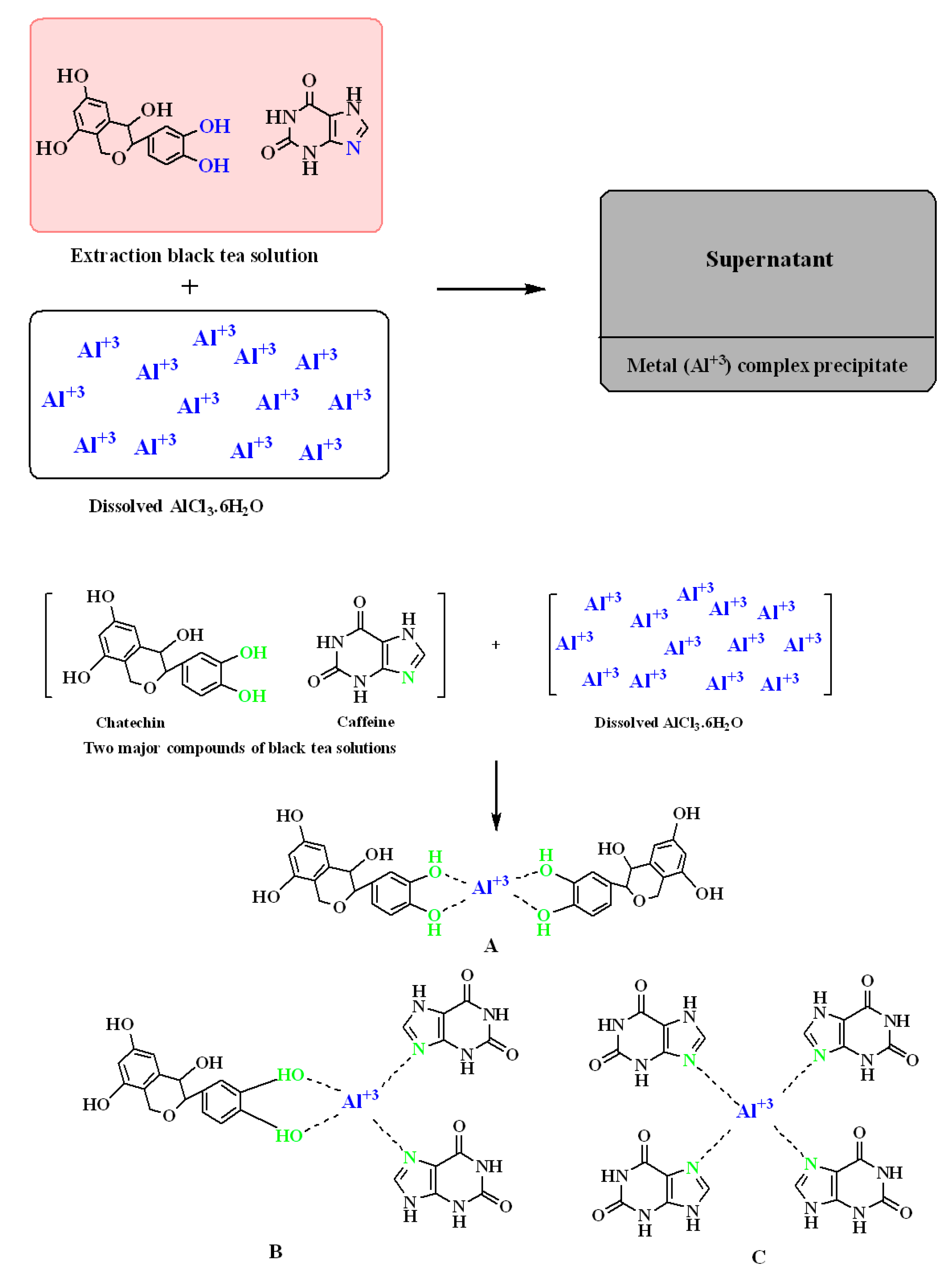 Polymers 13 01316 g004
