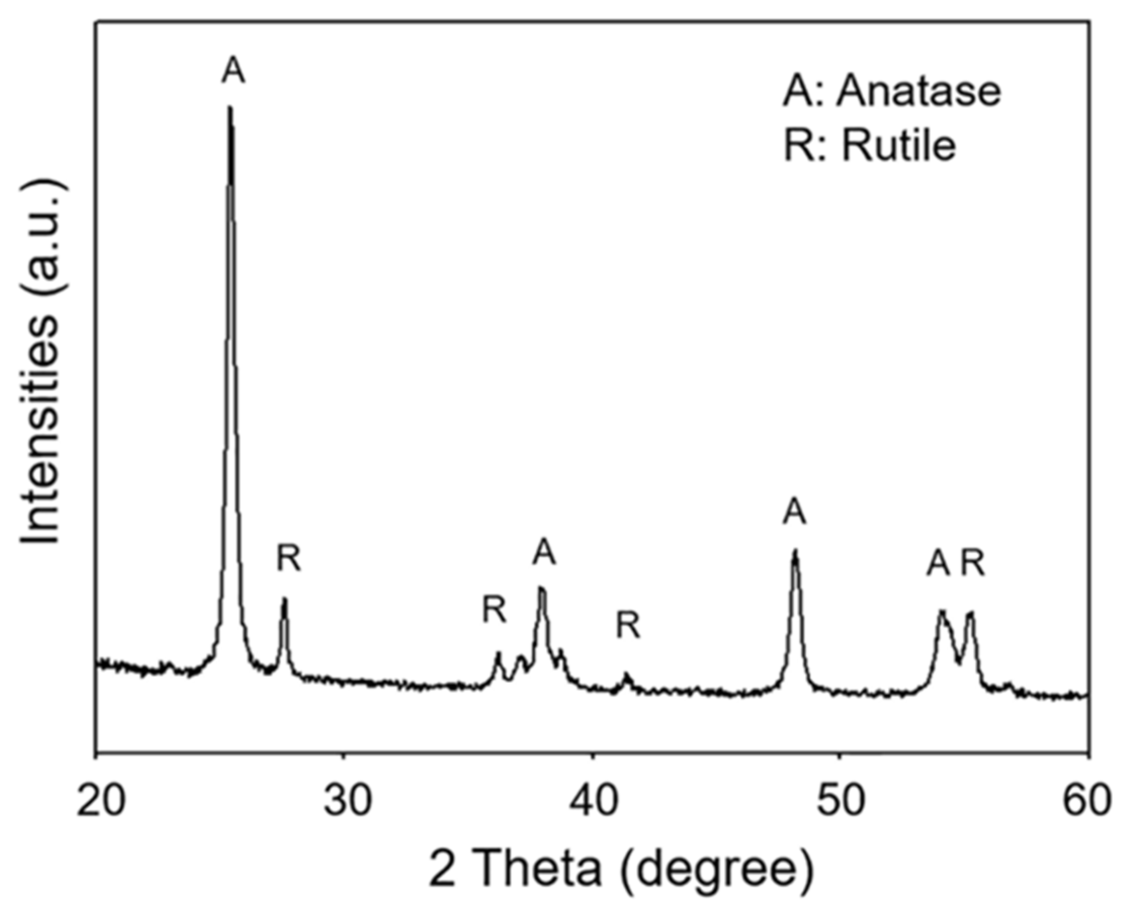 Polymers 13 01319 g002