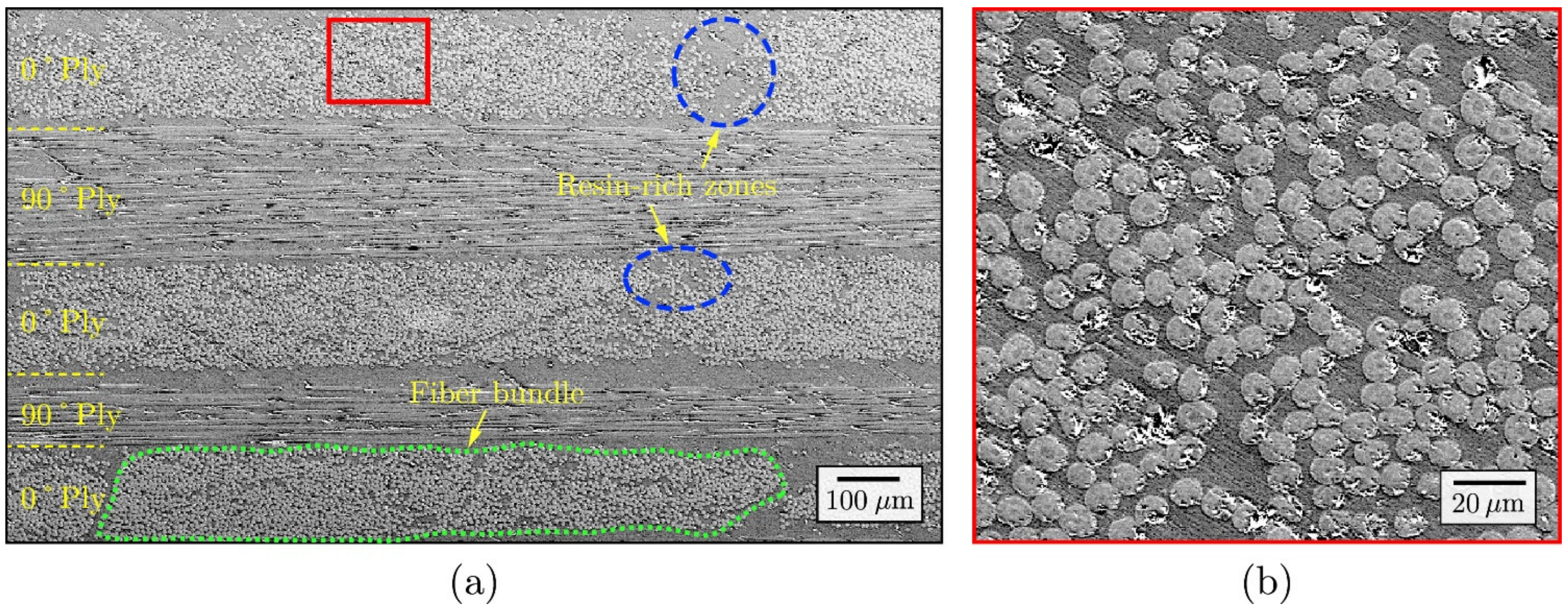 Polymers 13 01323 g002 Polymers 13 01323 g002