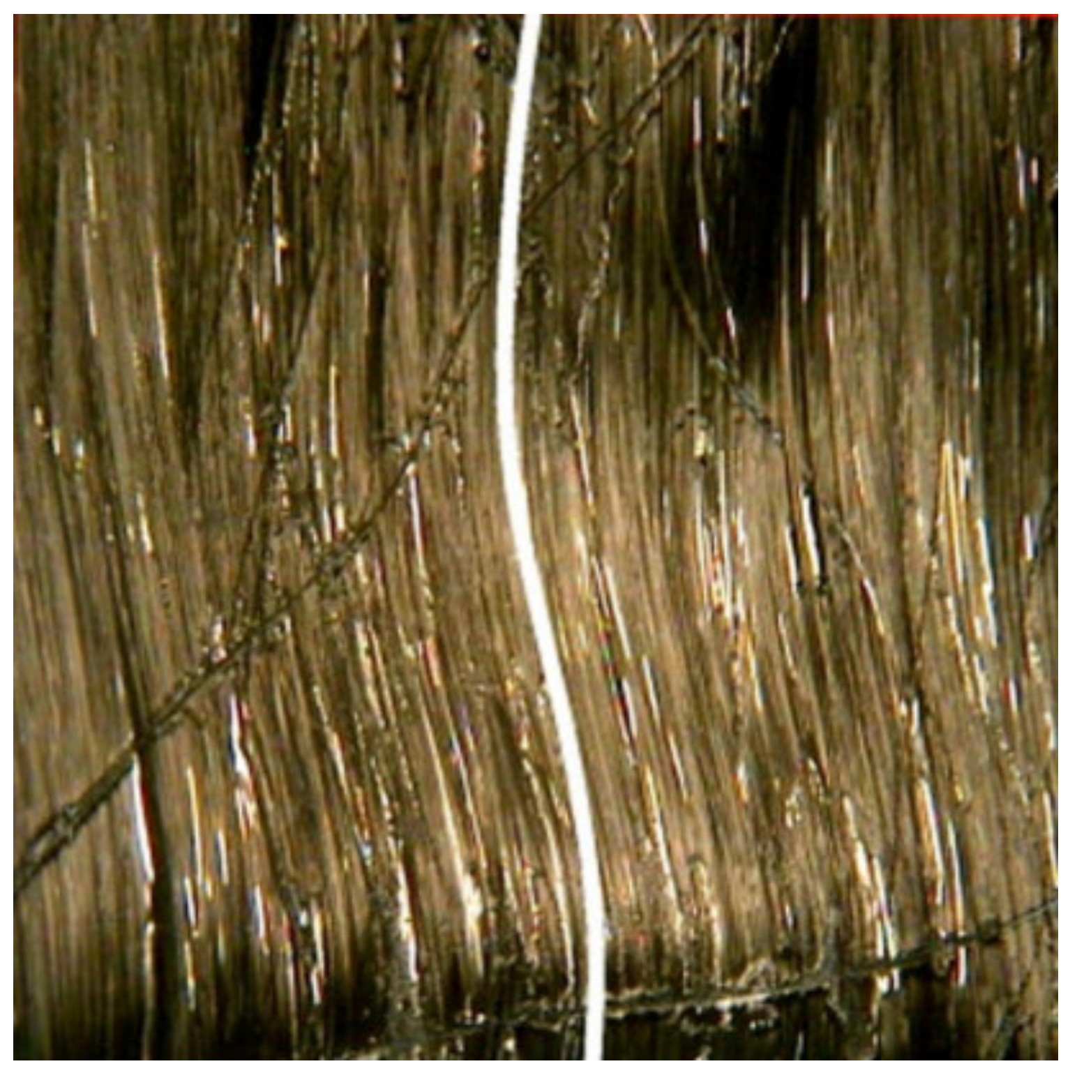 Polymers 13 01323 g005 Polymers 13 01323 g005