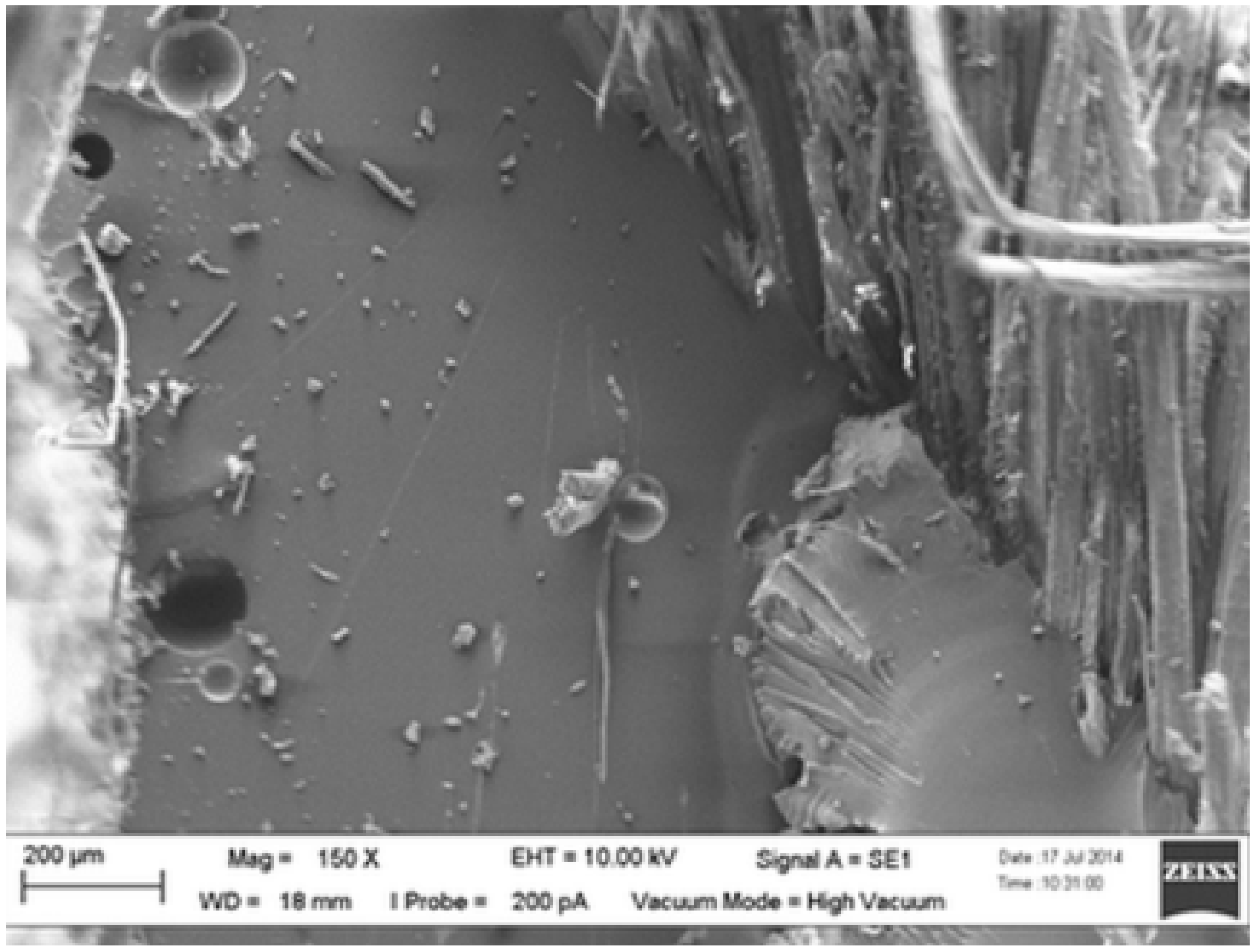 Polymers 13 01323 g007 Polymers 13 01323 g007